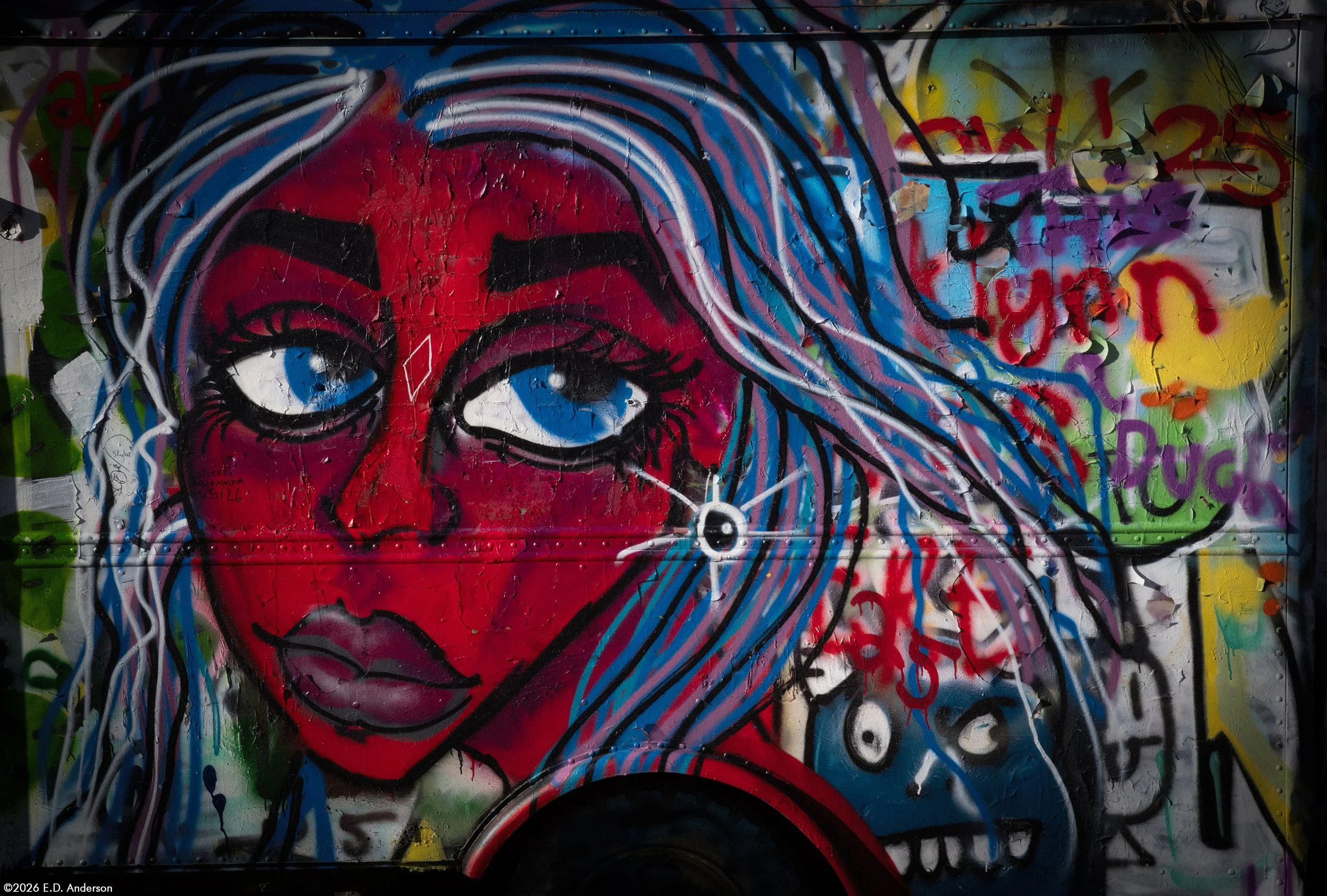 The International Car Forest