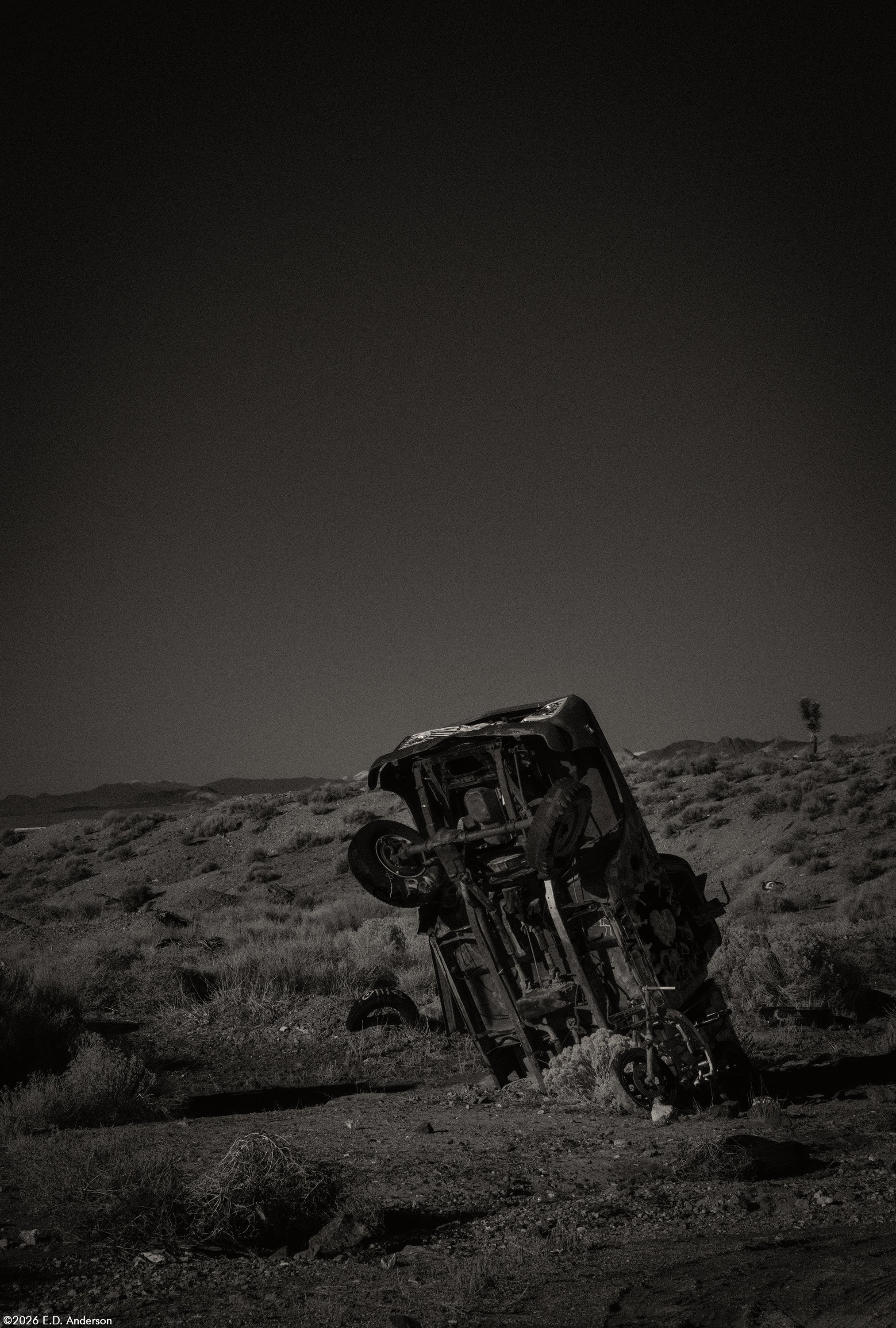 The International Car Forest