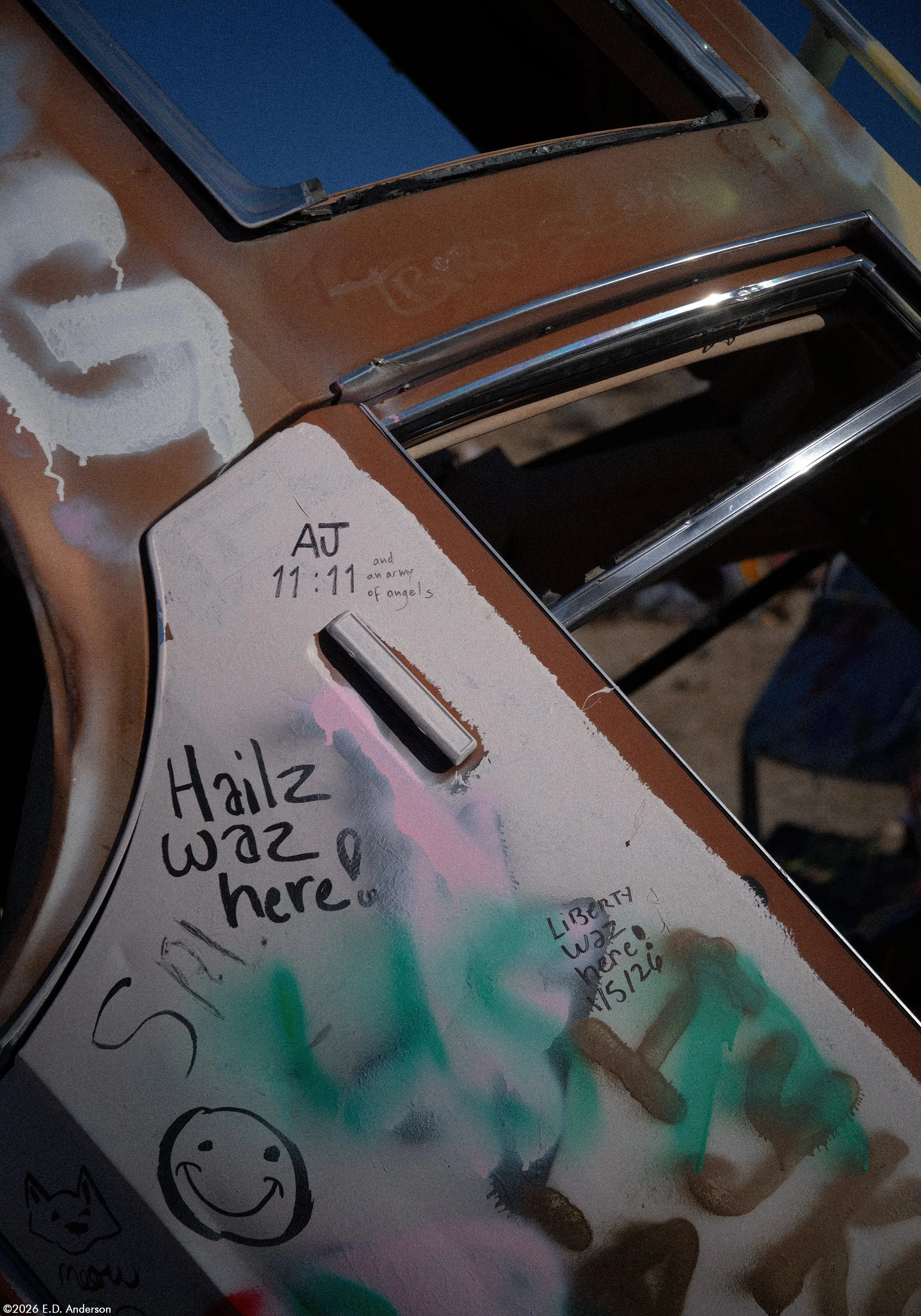 The International Car Forest