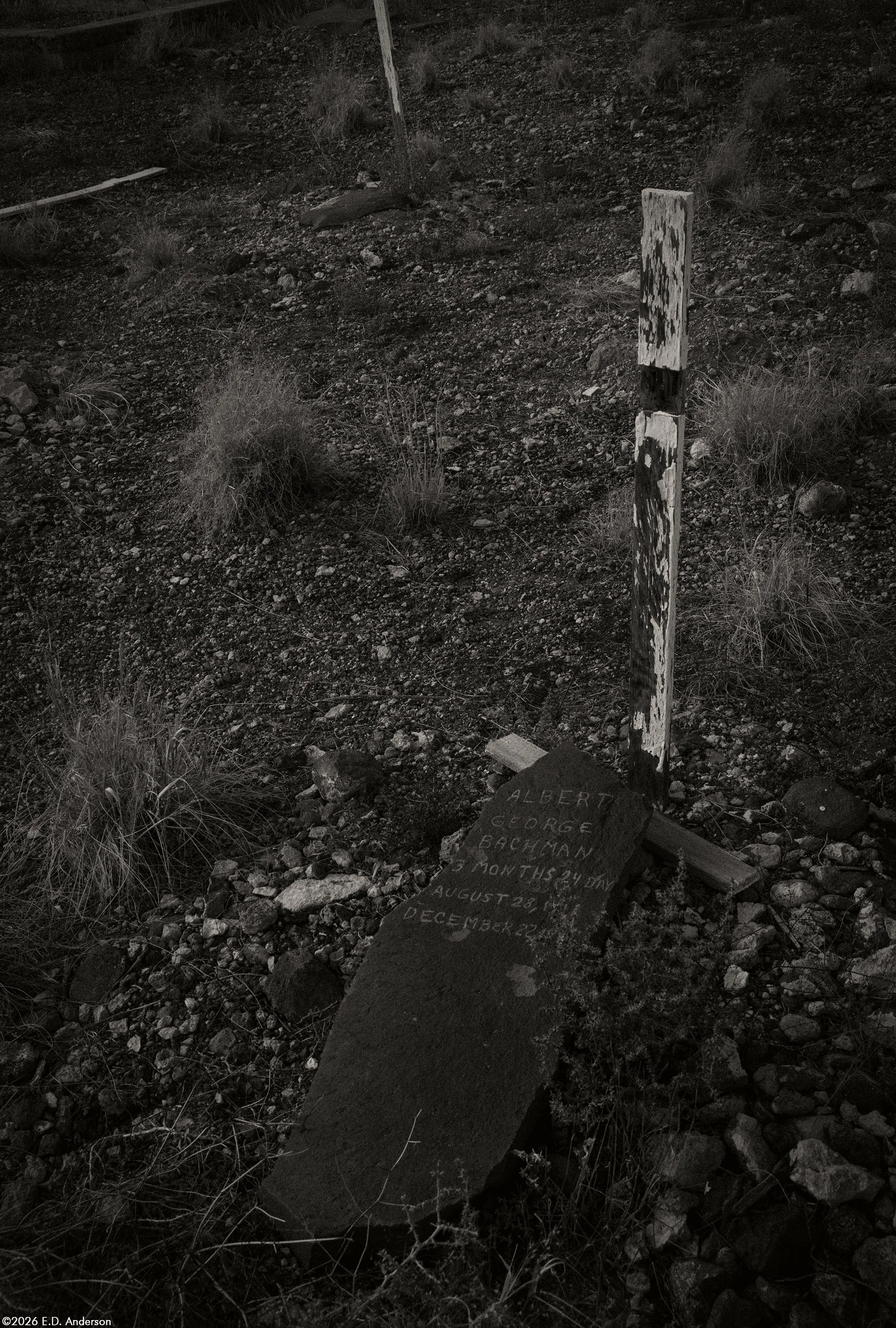 Goldfield Cemetery