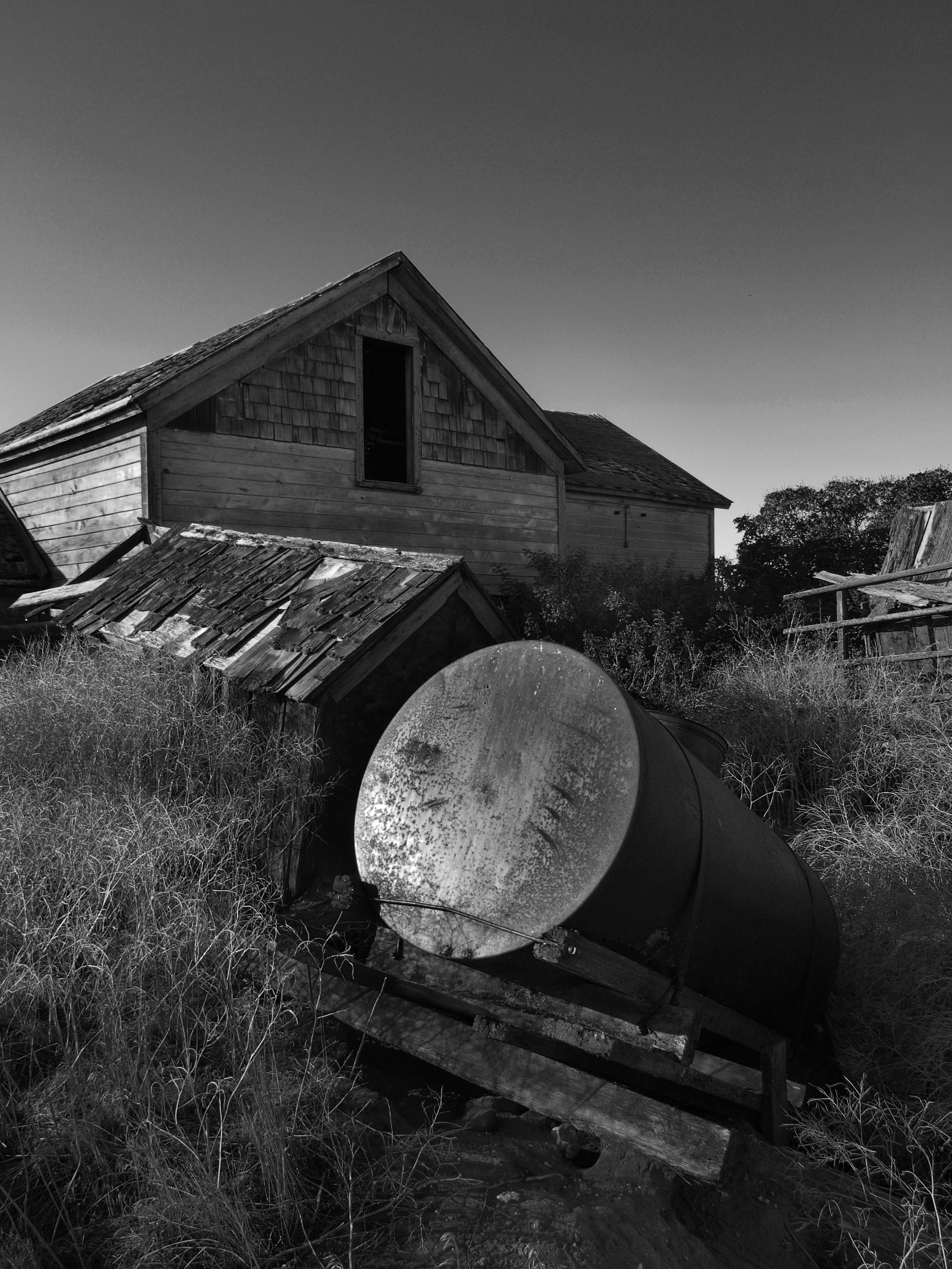 Abandoned Farmhouse