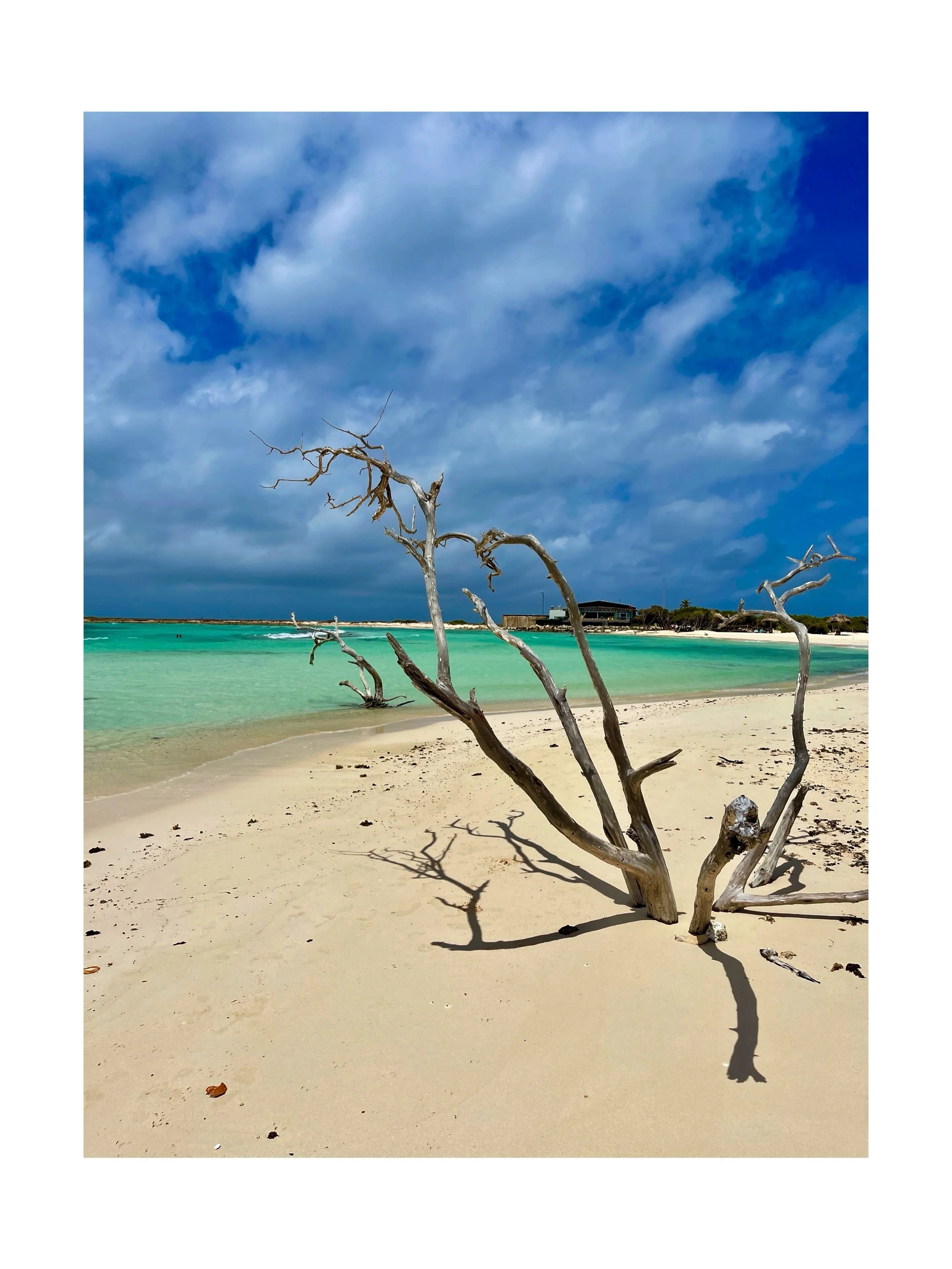 Aruba 2021