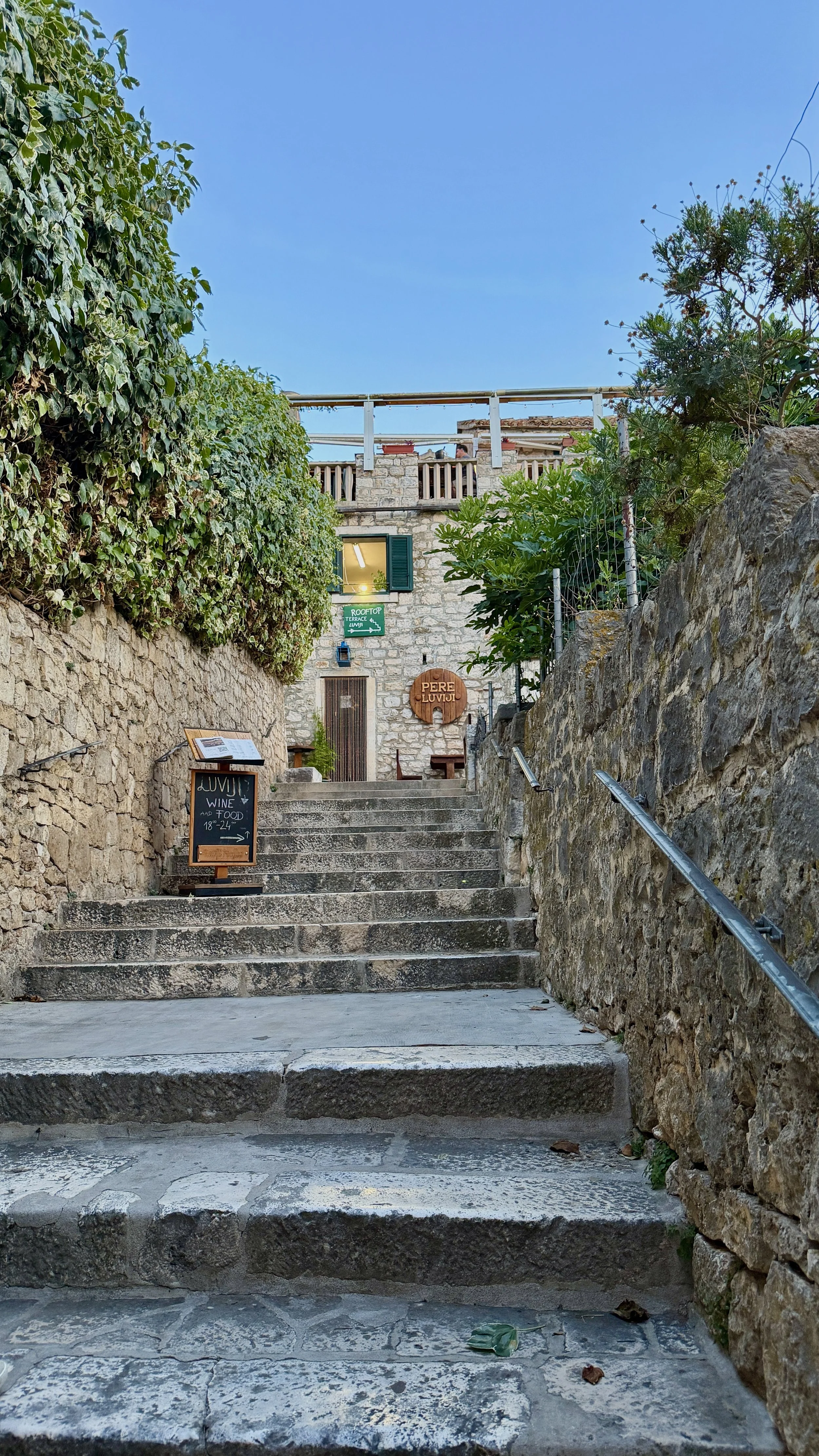 IMG_6664.jpg