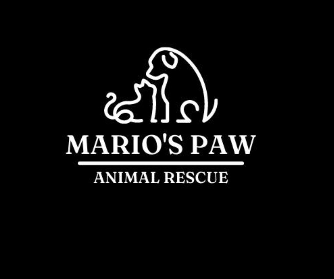   Mario&#39;s Paw