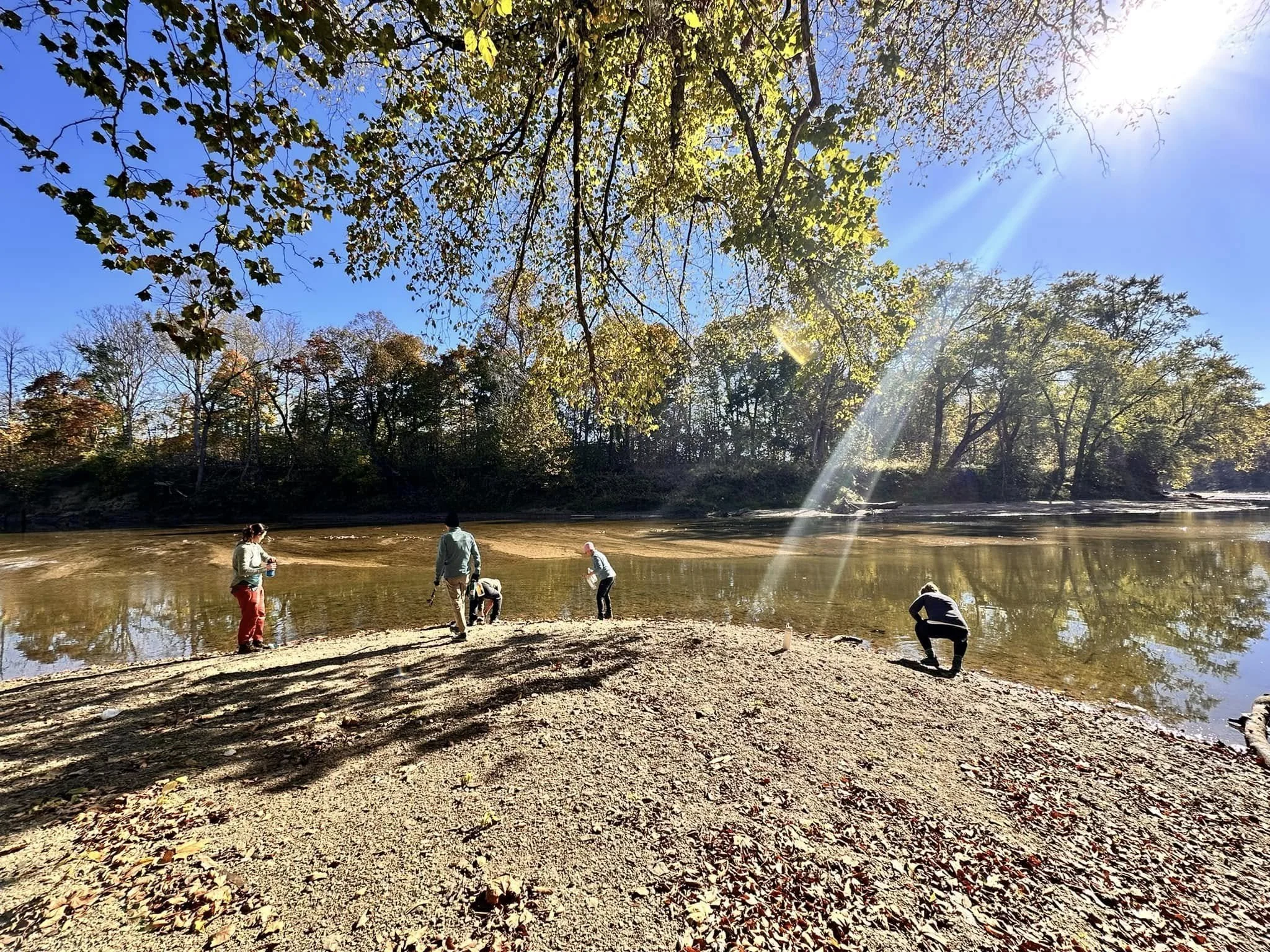 OL3.jpg