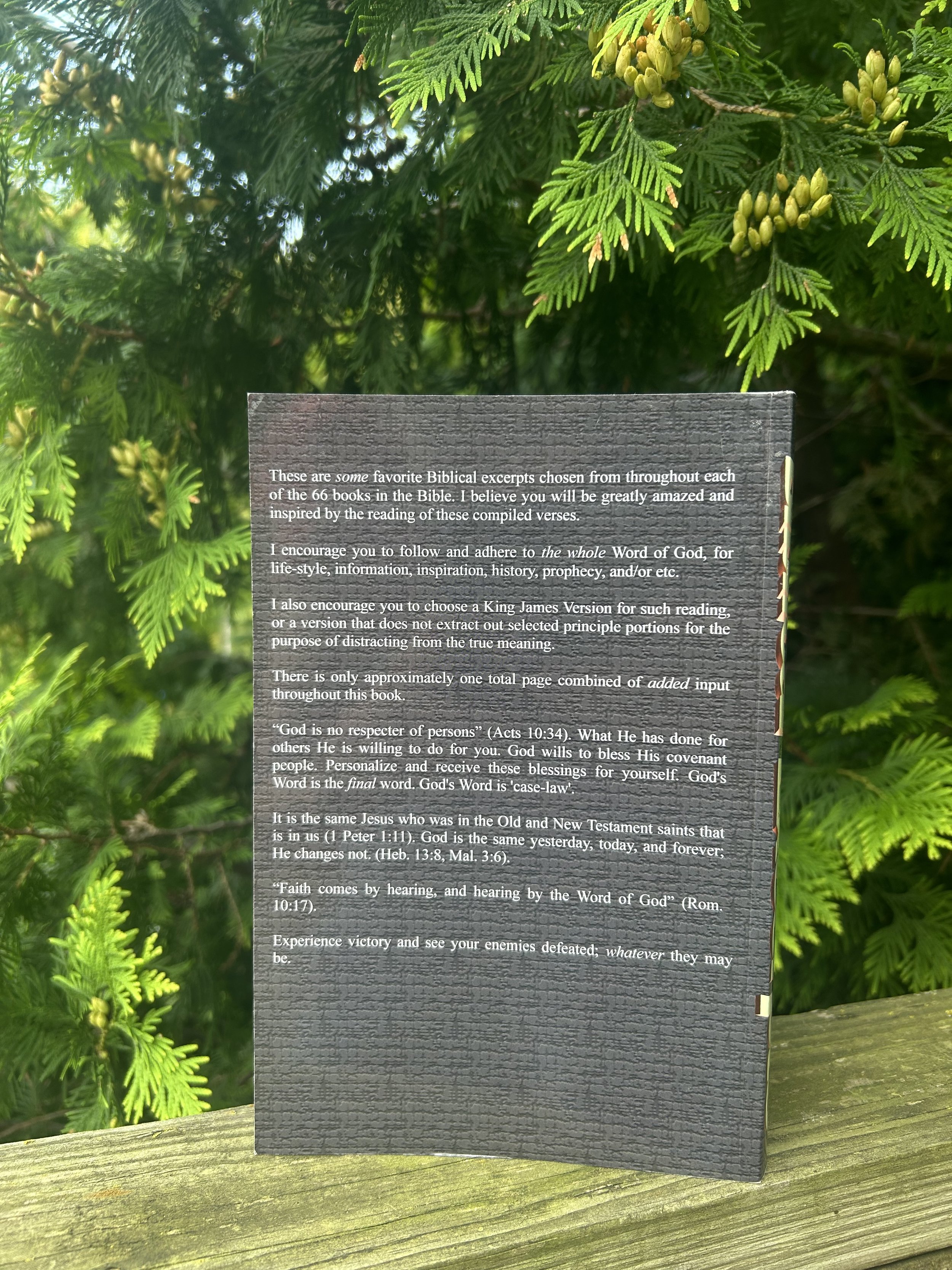 IMG_5430.jpeg