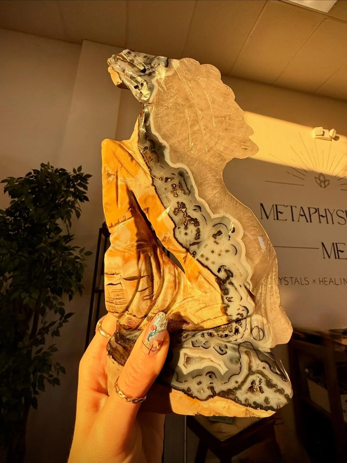 ✨ Welcoming the Year of the Horse 🐎🔥

Last year, the Year of the Snake, invited us to shed old skins release what no longer served and make space for renewal.
Now, we gallop forward into the Year of the Horse: a year of momentum, confidence, freedo