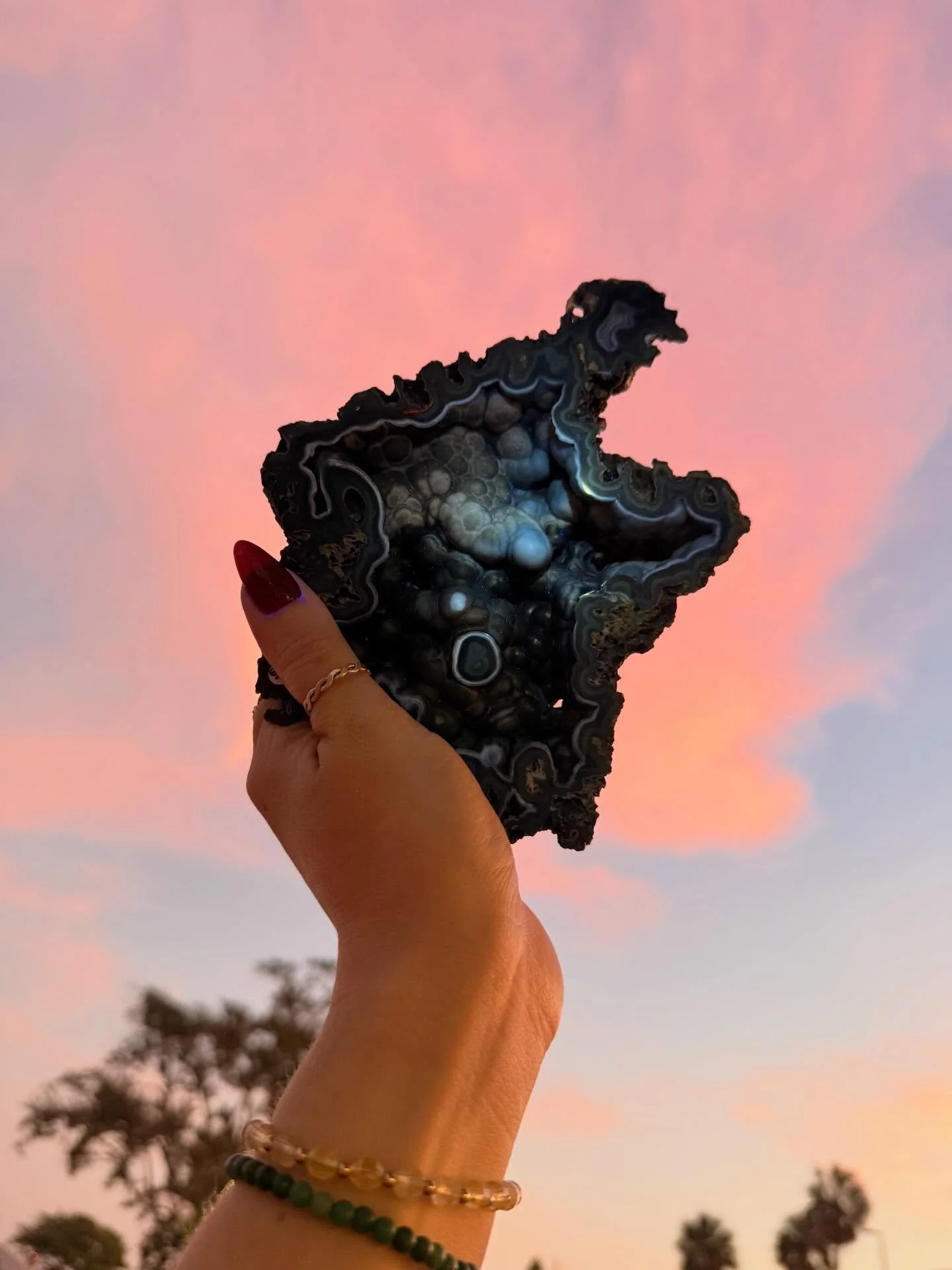 Tampa Bay Fossilized Coral 🪸

A stone of ancestral healing, fossilized coral carries the wisdom of ancient oceans and the energetic imprint of countless generations. It encourages reflection on the stories we inherit, the patterns we choose to trans