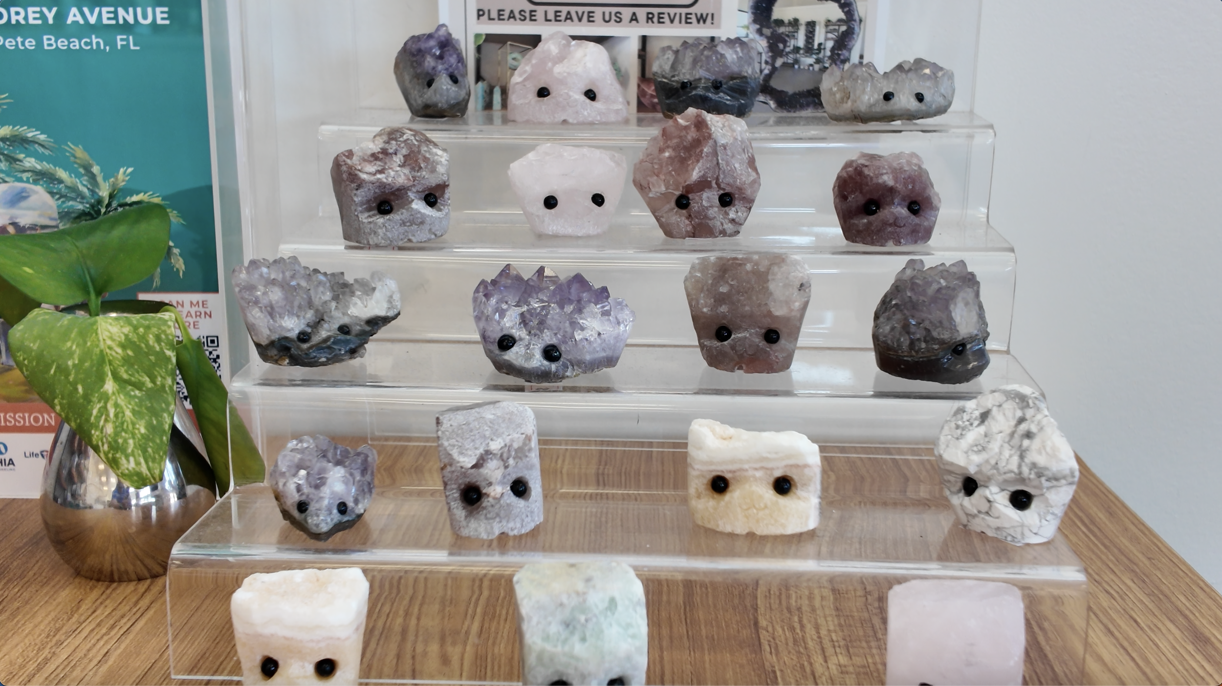 Display of mineral rock specimens with small black eyes, arranged on clear acrylic stands on a wooden table, with a green plant on the left and informational signs in the background.