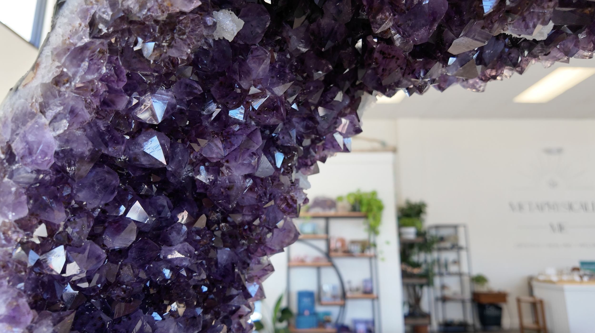 Close-up of a large purple amethyst geode with sparkling crystals inside, obscure background of a room with shelves, plants, and office furniture.