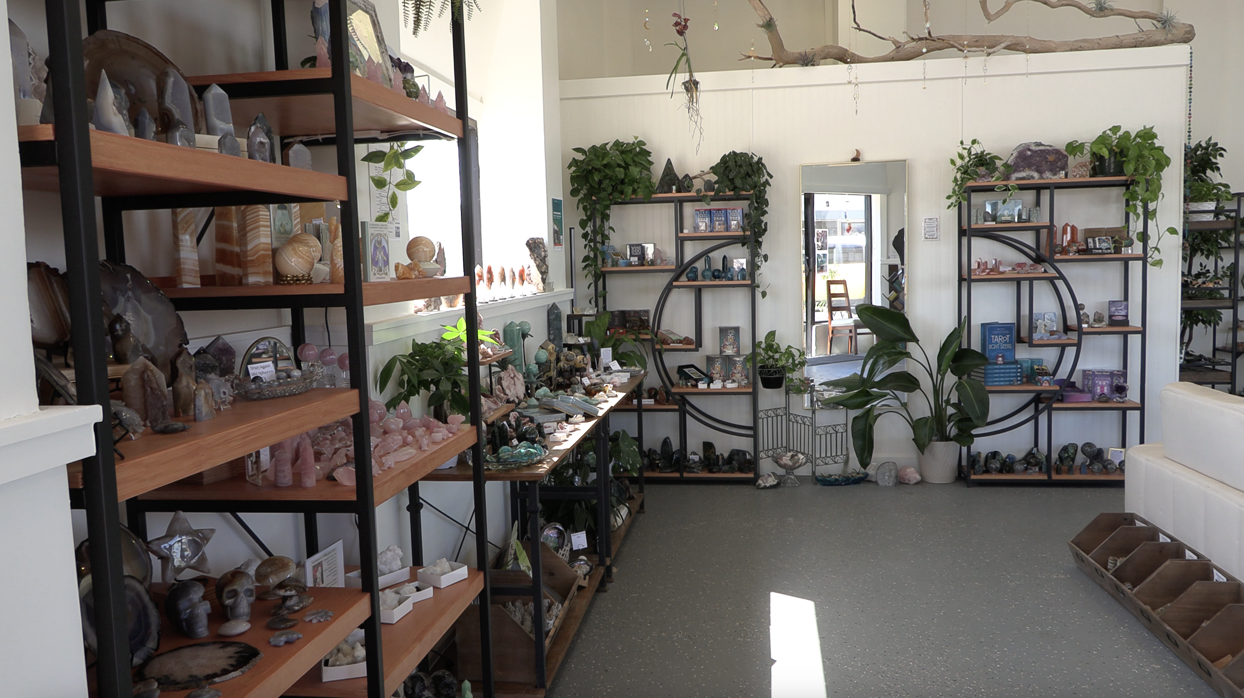 Interior of a shop displaying various crystals, stones, and minerals on black metal and wooden shelves, with potted plants and a mirror on the wall.
