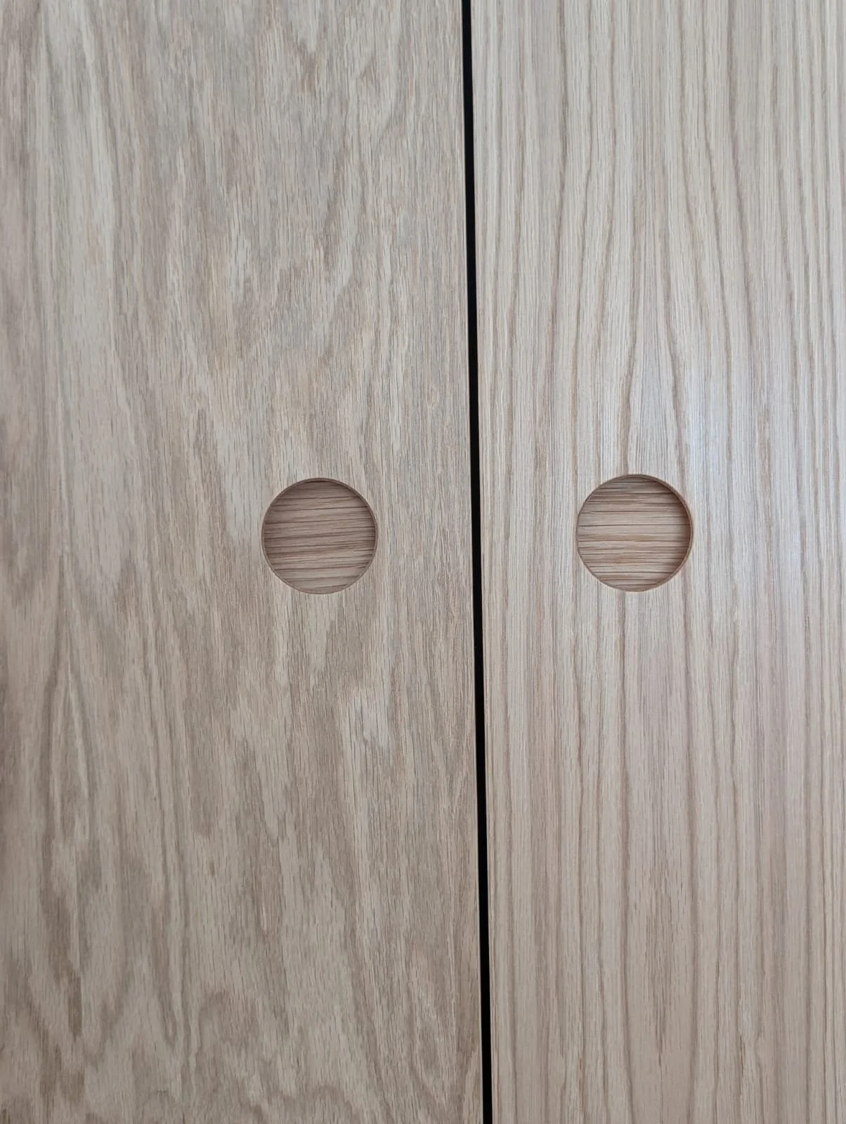 Close-up of a wooden door with two round, recessed handles.