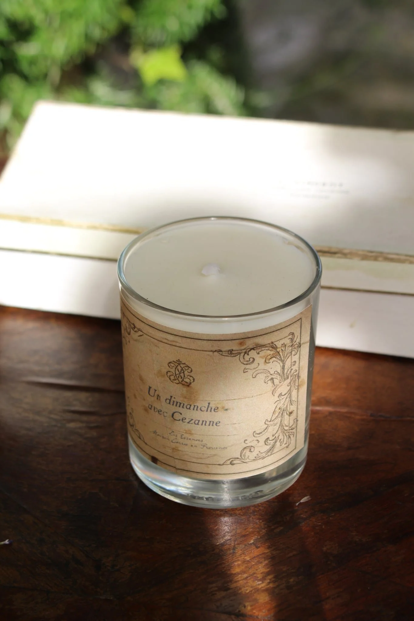 un dimanche avec cezanne.jpg