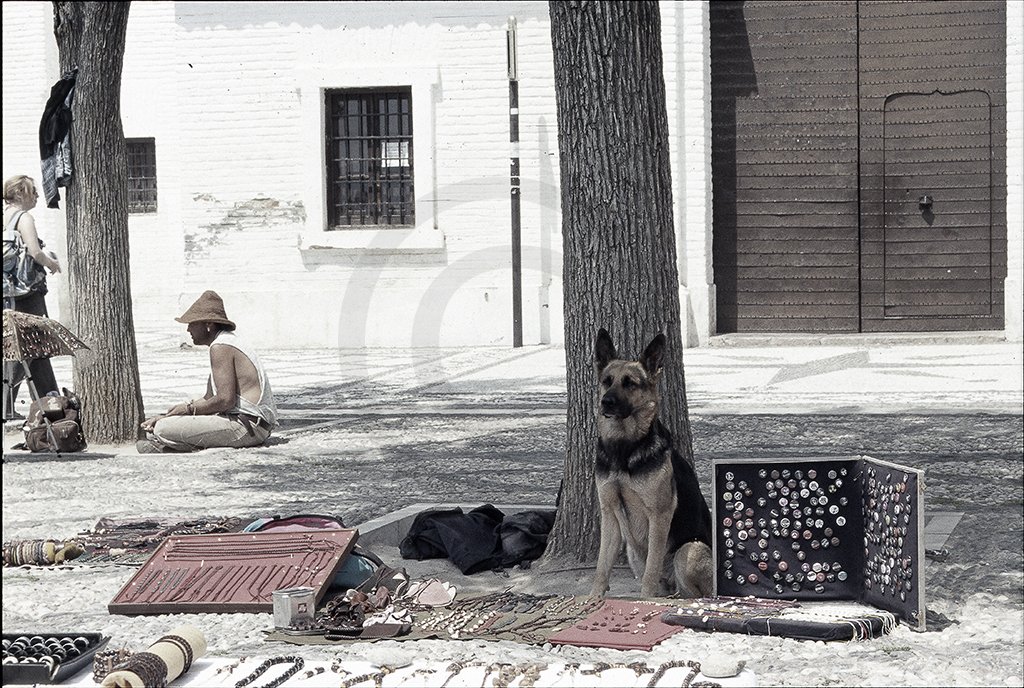 Granada IX