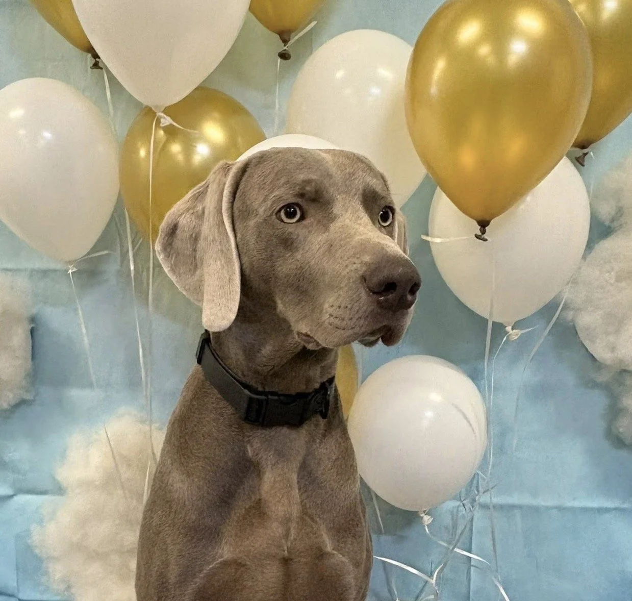 RivsTheseDays 2.jpeg