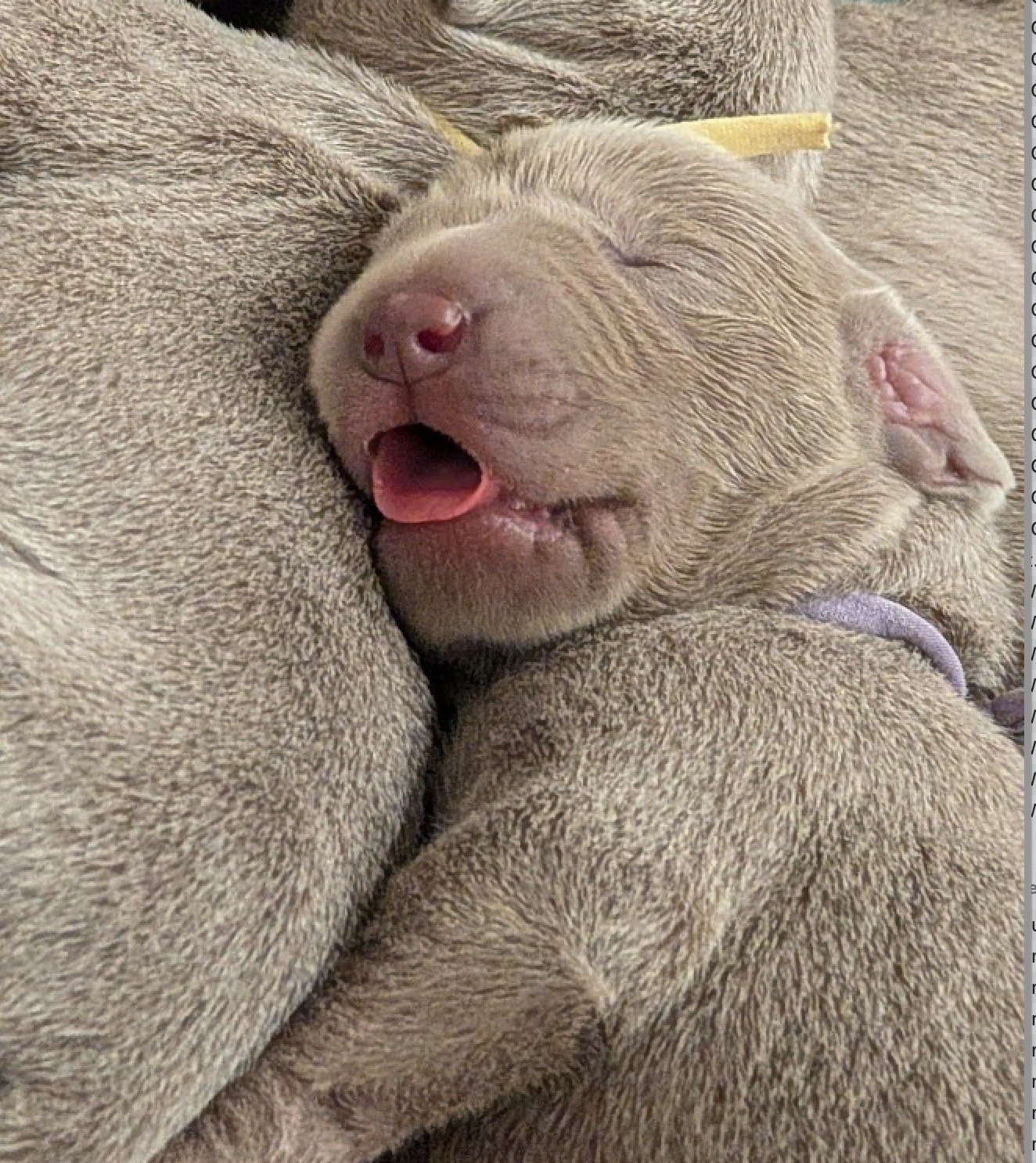 Screen Shot 2025-12-25 at 11.47.18 AM.jpeg