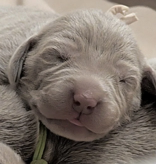 PXL51224_011201738 2.jpg