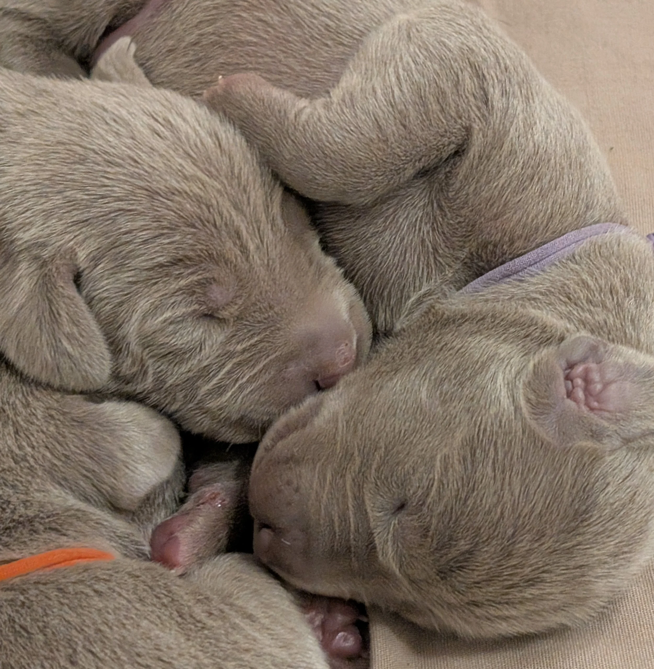 PXL_202512242320 2.jpg