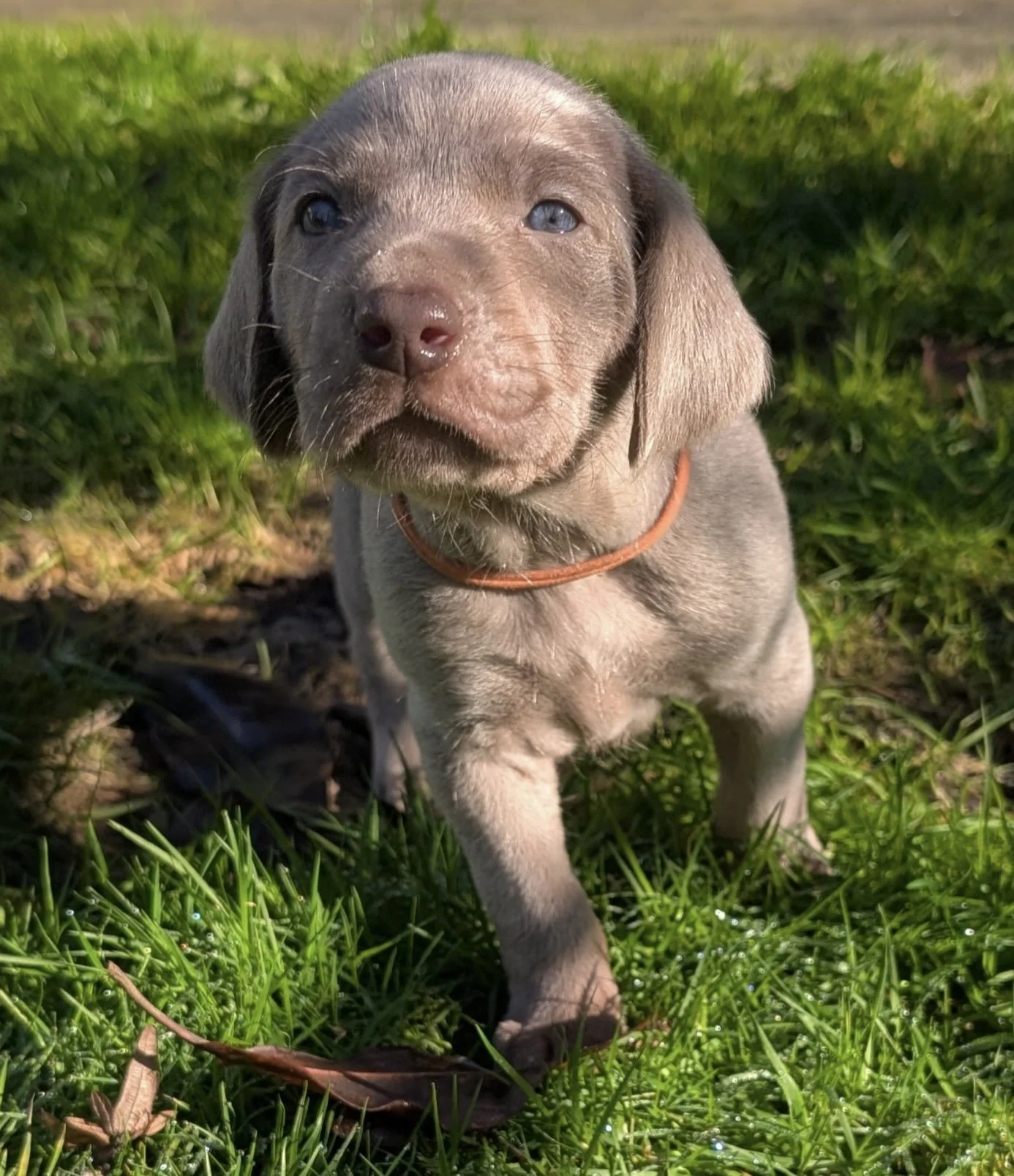 PXL_20260116_202939460 2.jpg