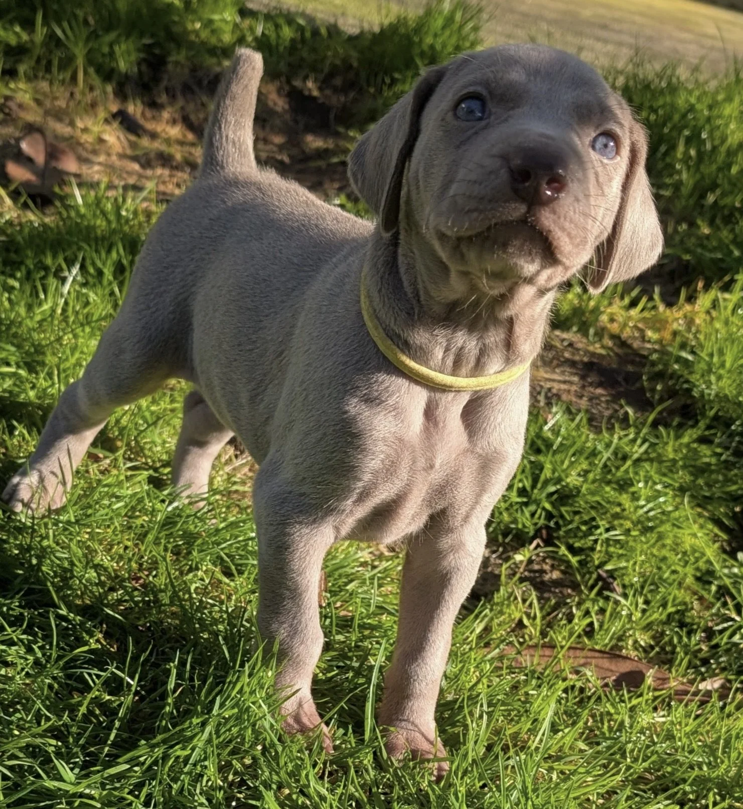 PXL_20260116_203417601(1) 2.JPG