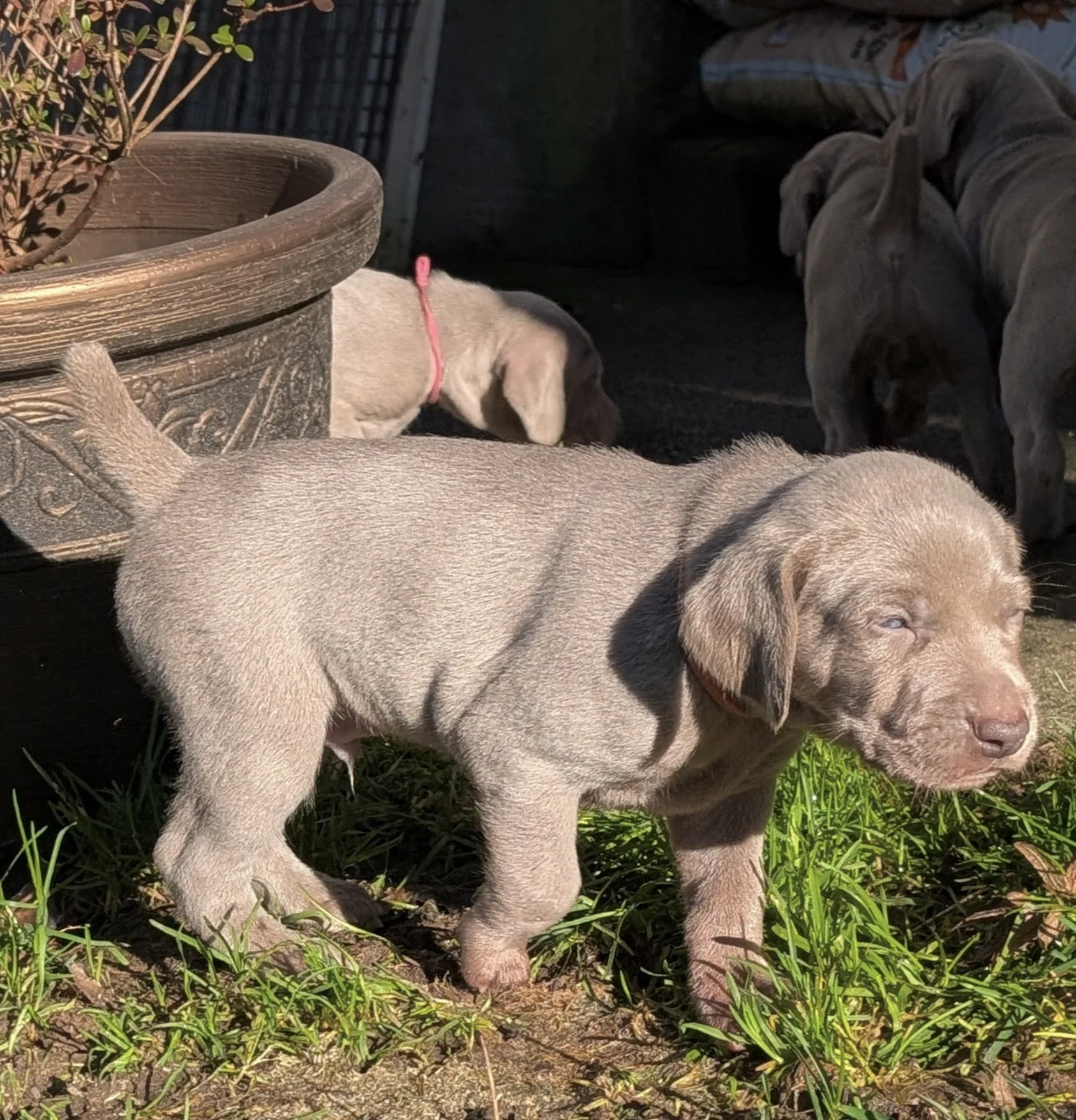 PXL_20260116_203935009 2.jpg