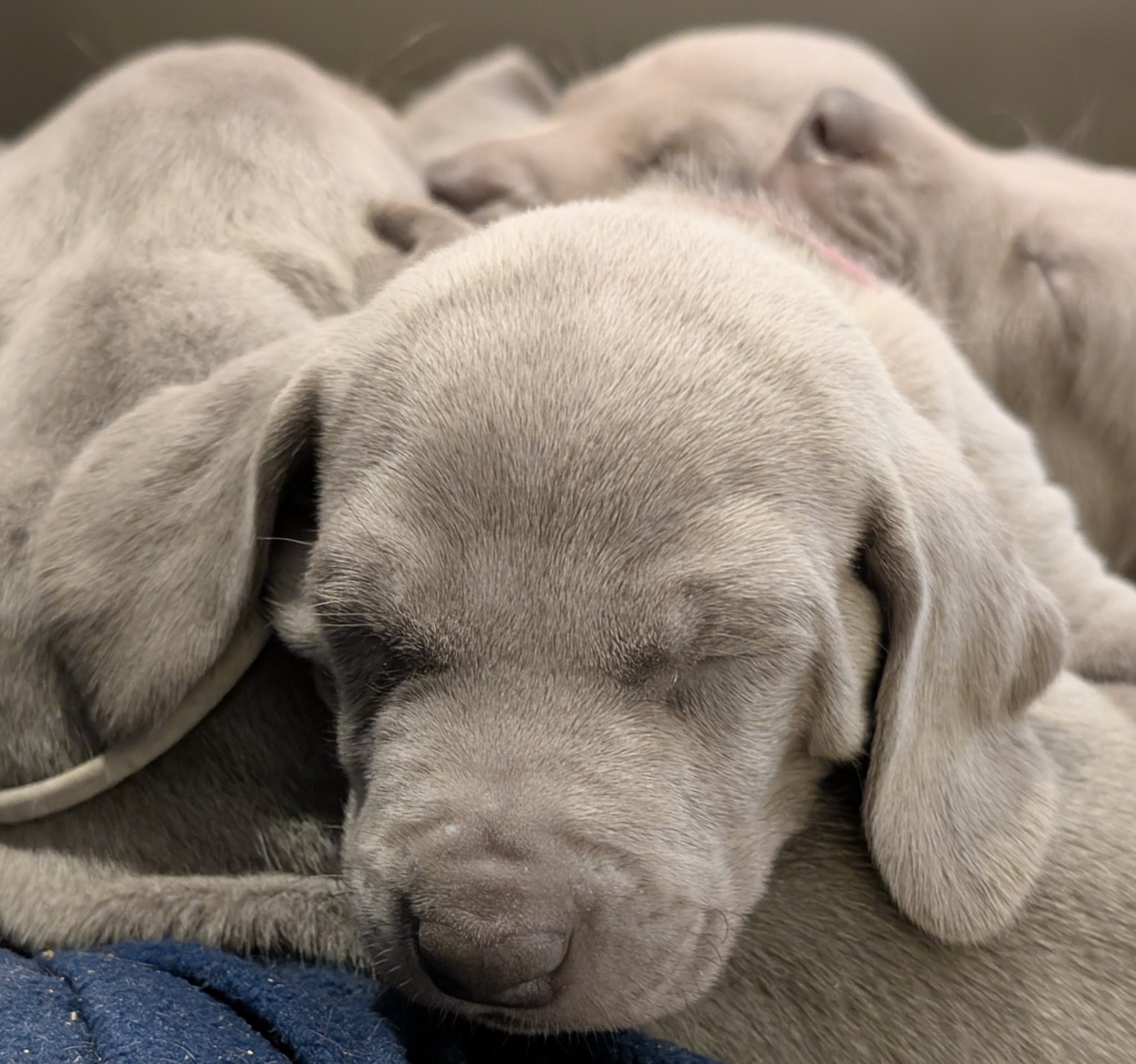 PXL_20260116_205435087 2.jpg