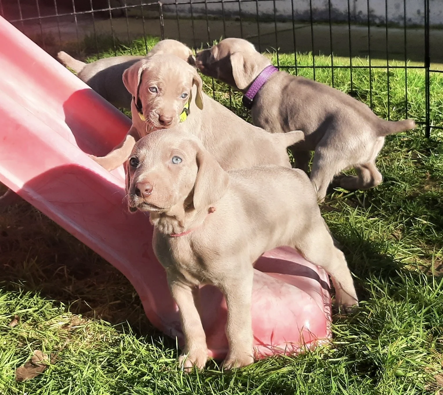 20260118_120524 2.jpg