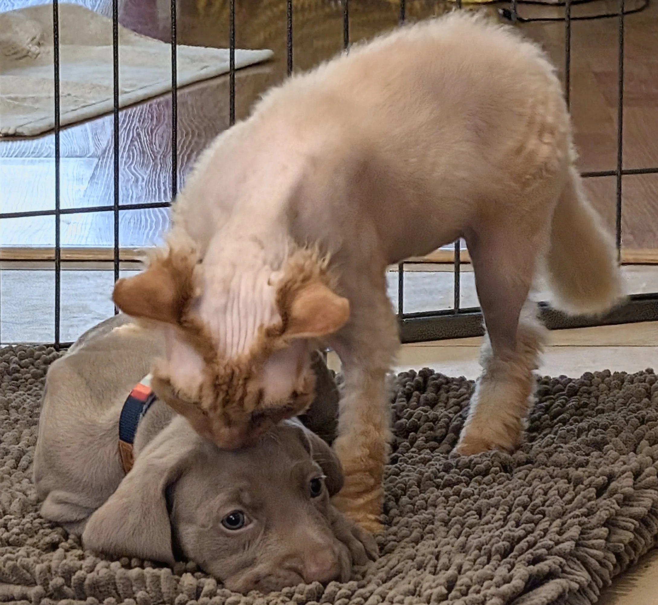 20260123_2119548122 2.jpg