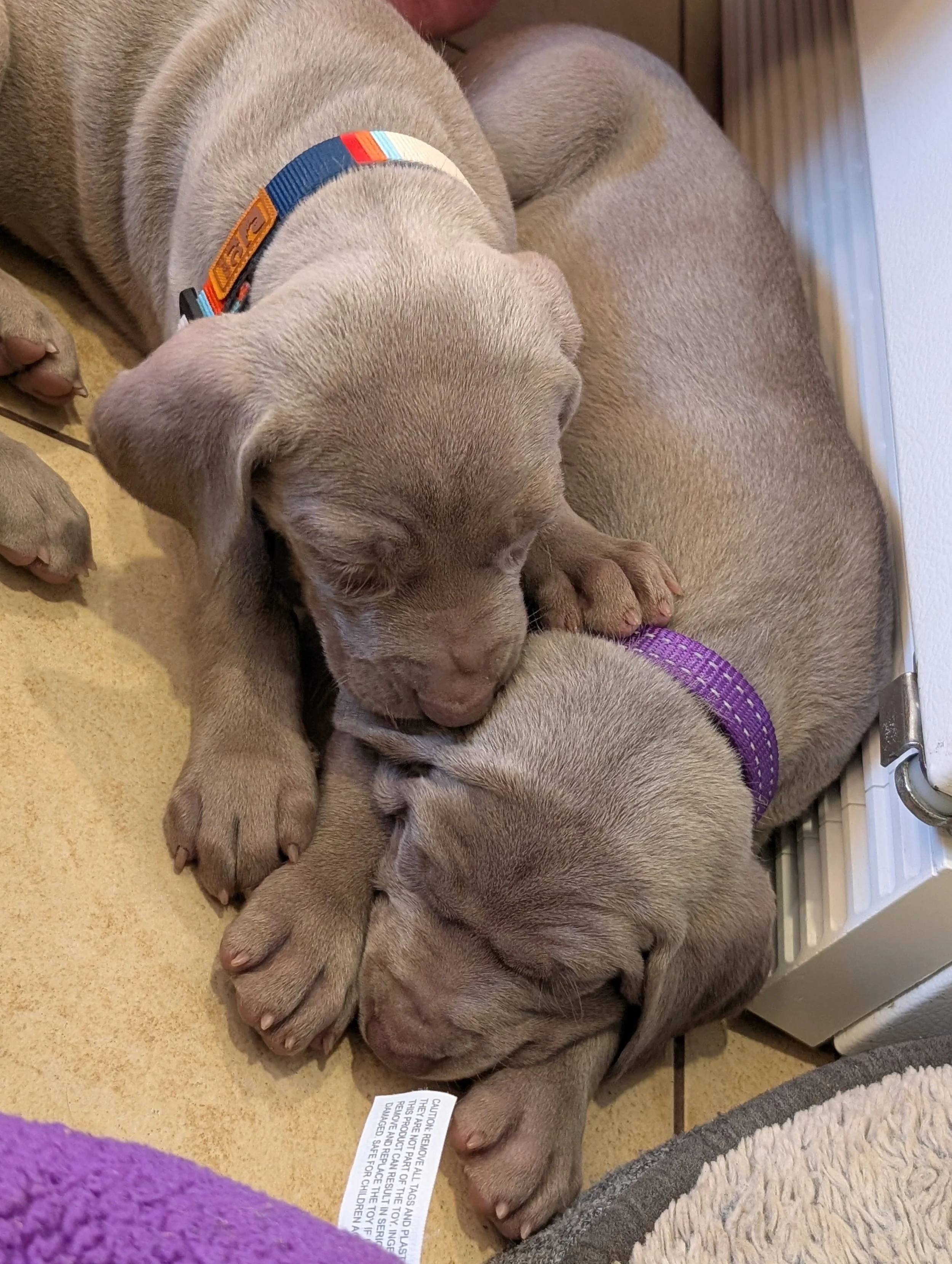 20260123_212512223 2.jpg