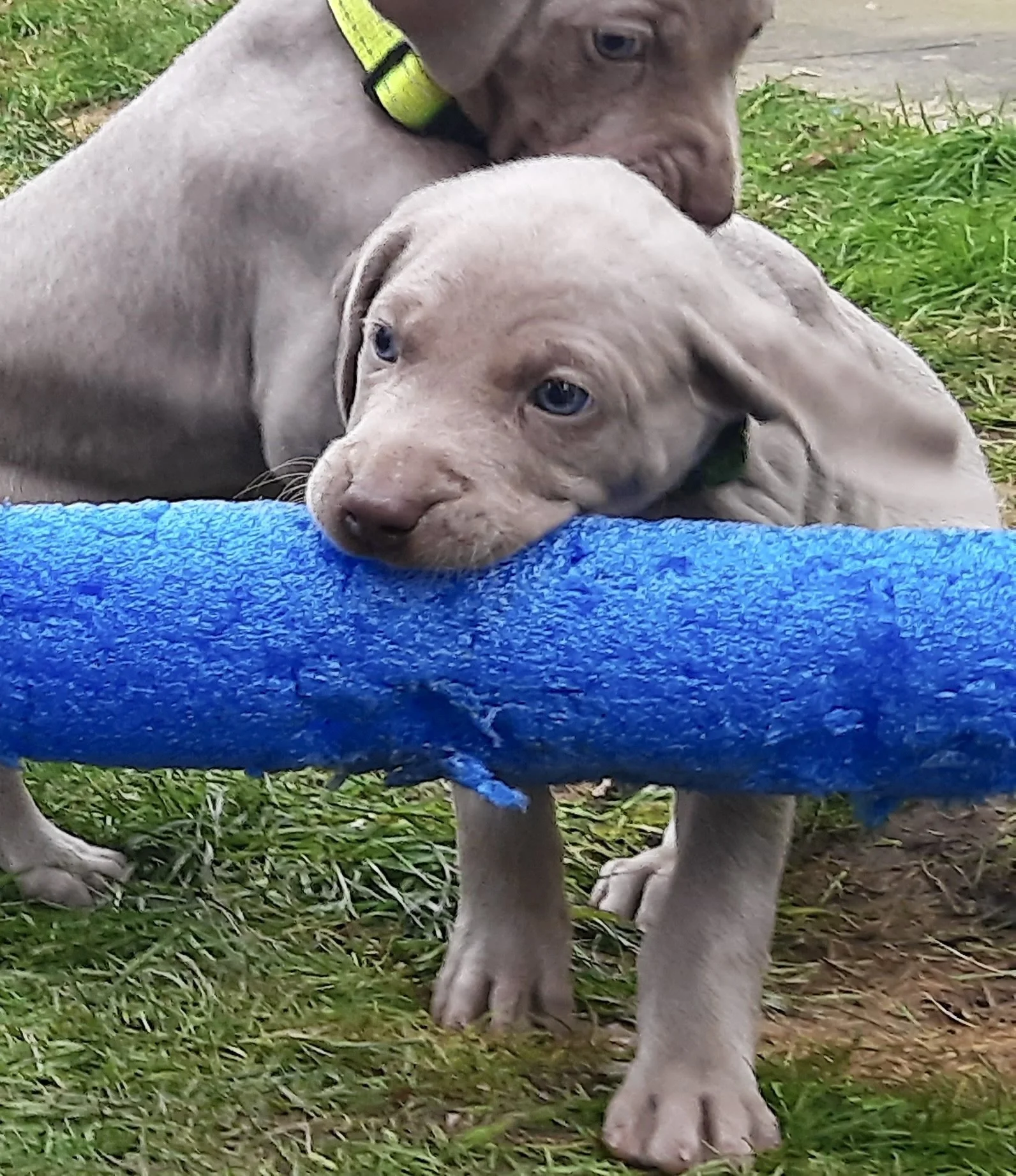 20260126_144847 2.jpg