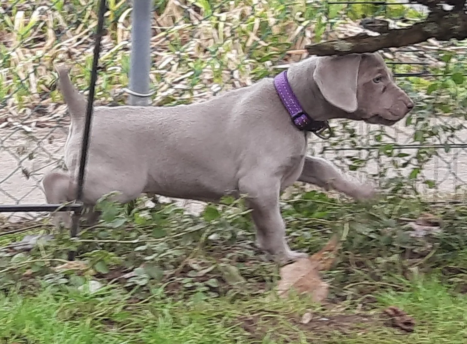 20260126_145302(1) 2.JPG