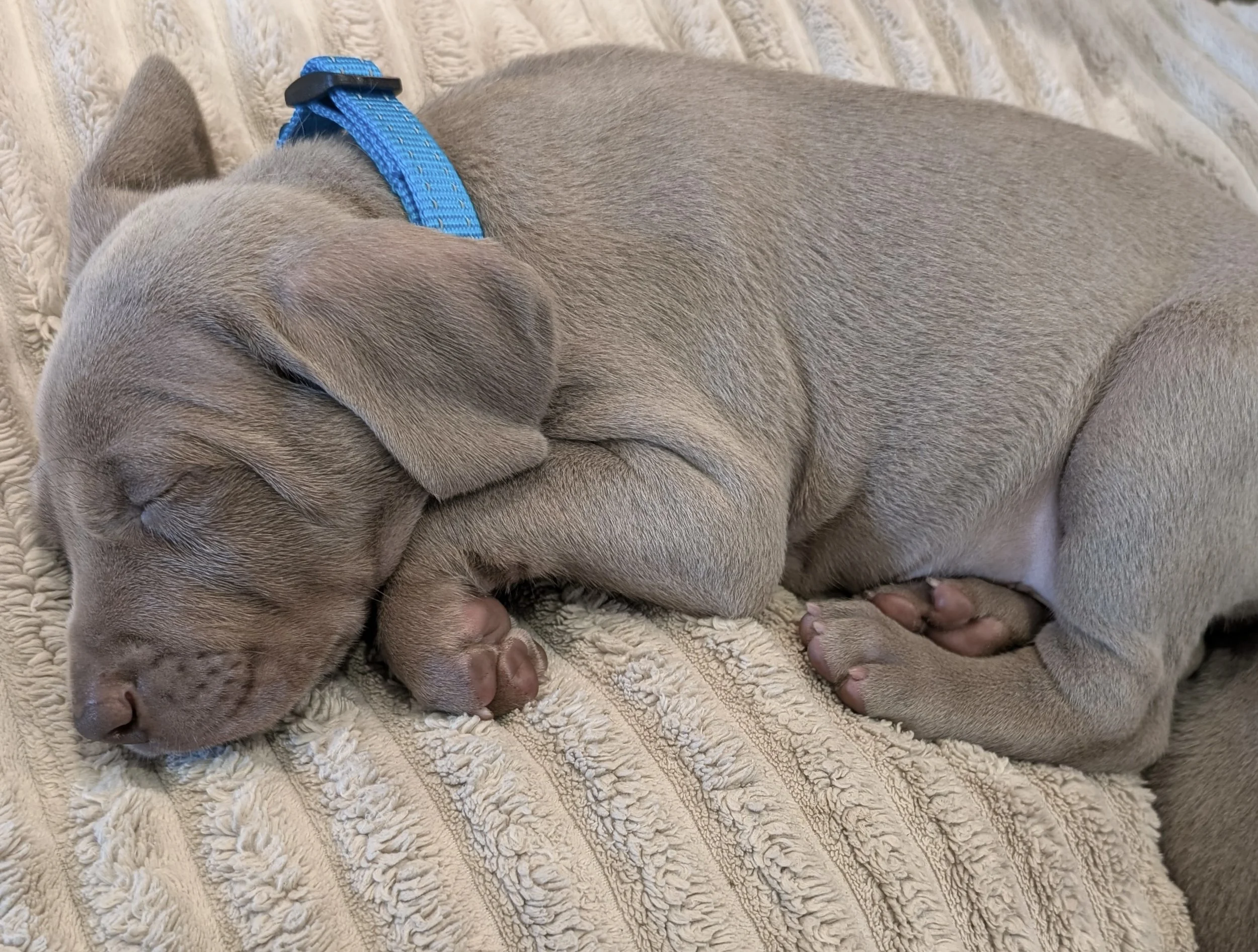 20260123_20413828111 2.jpg