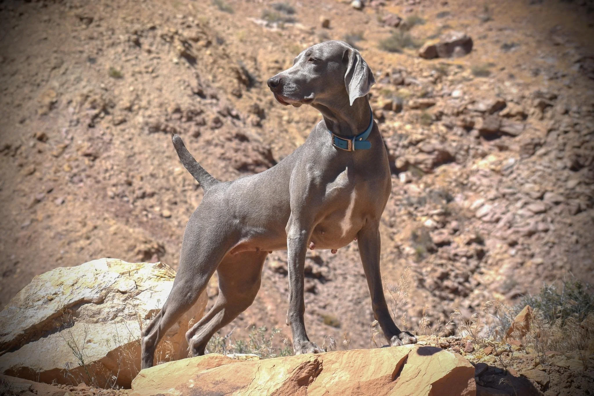 EmzMoabBeauty.jpg