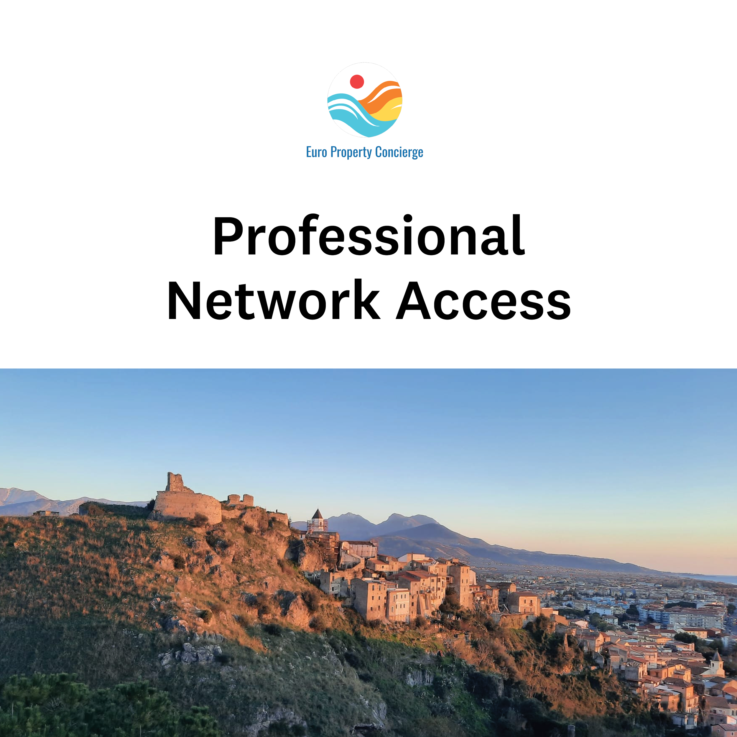 Professional Network Access