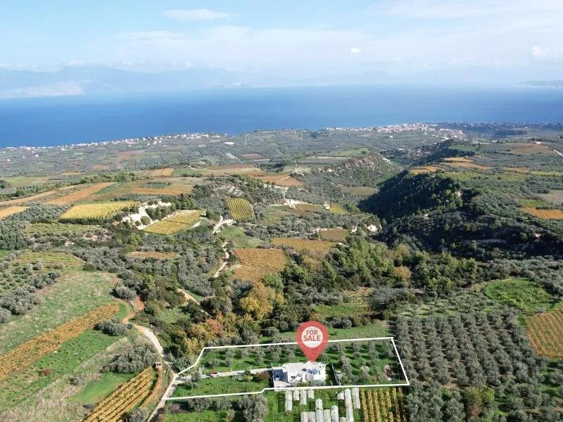 3-bedroom 1-bathroom house on 3,500 sq.m. plot size | Unobstructed panoramic views of Corinthian Gulf | Fully renovated internally in 2024 | Fully furnished | 50 olive trees and various fruit trees | €250,000 (A$418,000)