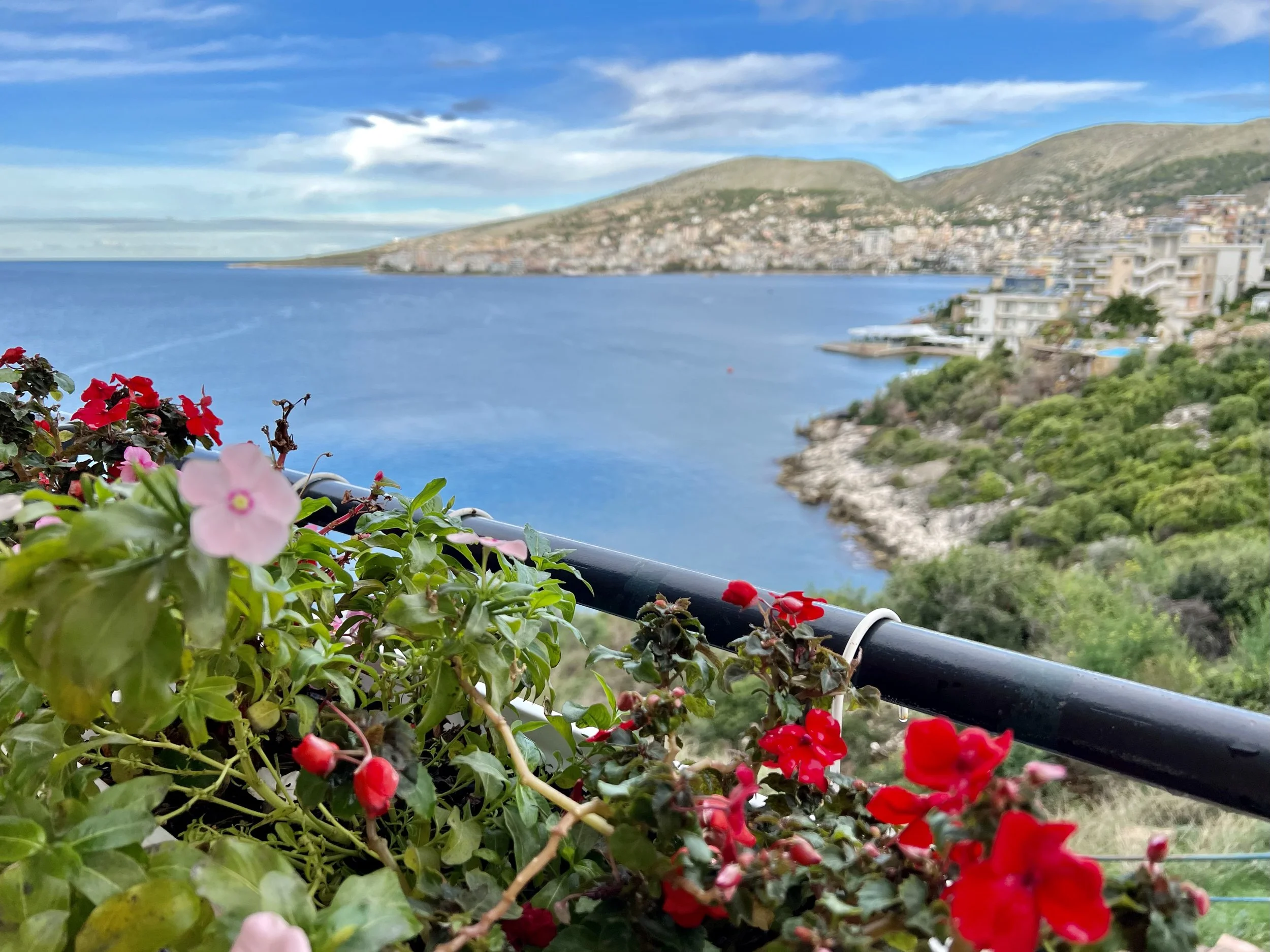 Colorful flowers in the foreground with a scenic harbor, hillside residential area, and mountains in the background under a partly cloudy sky.