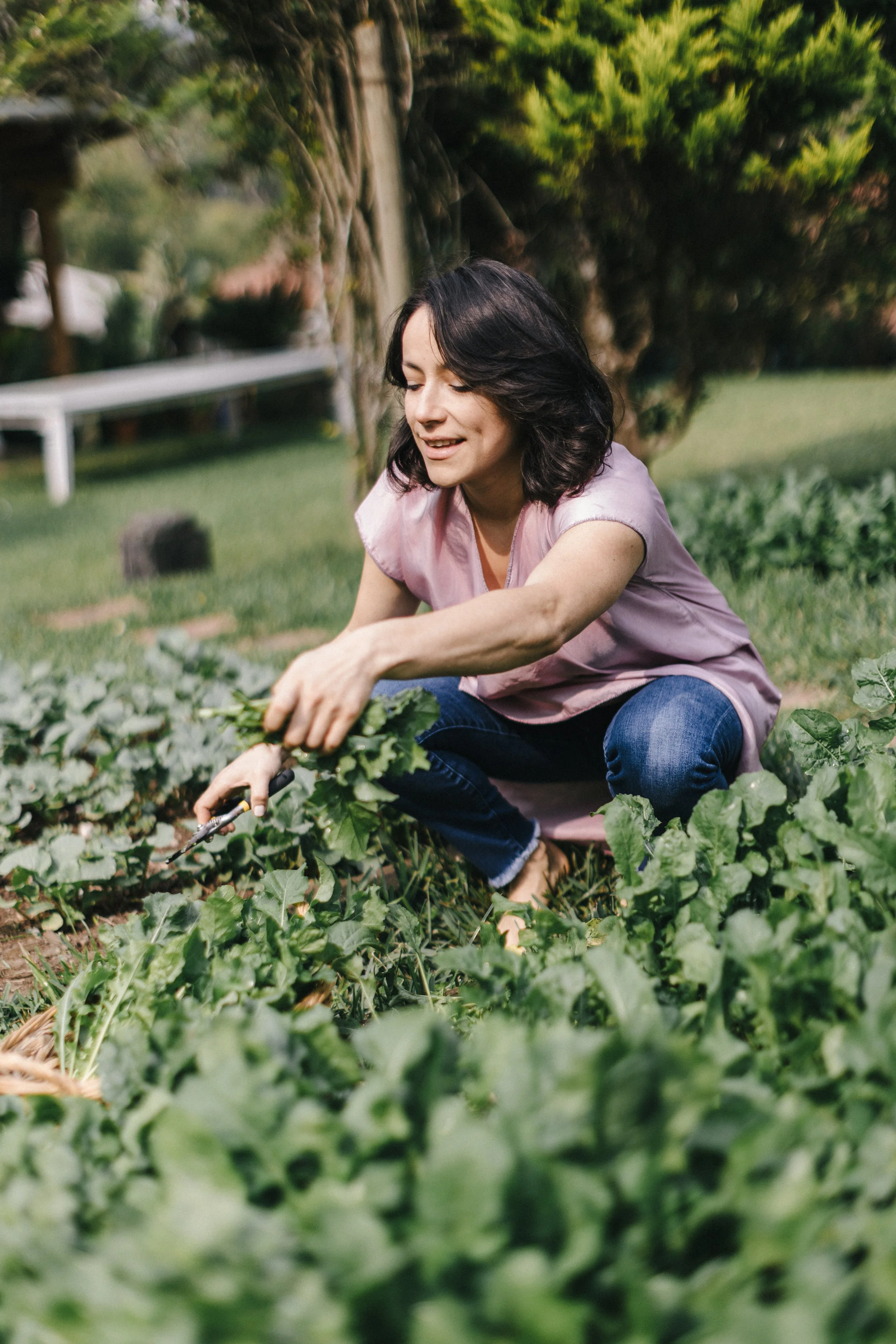 Woman crouching and harvesting leafy greens in a garden.