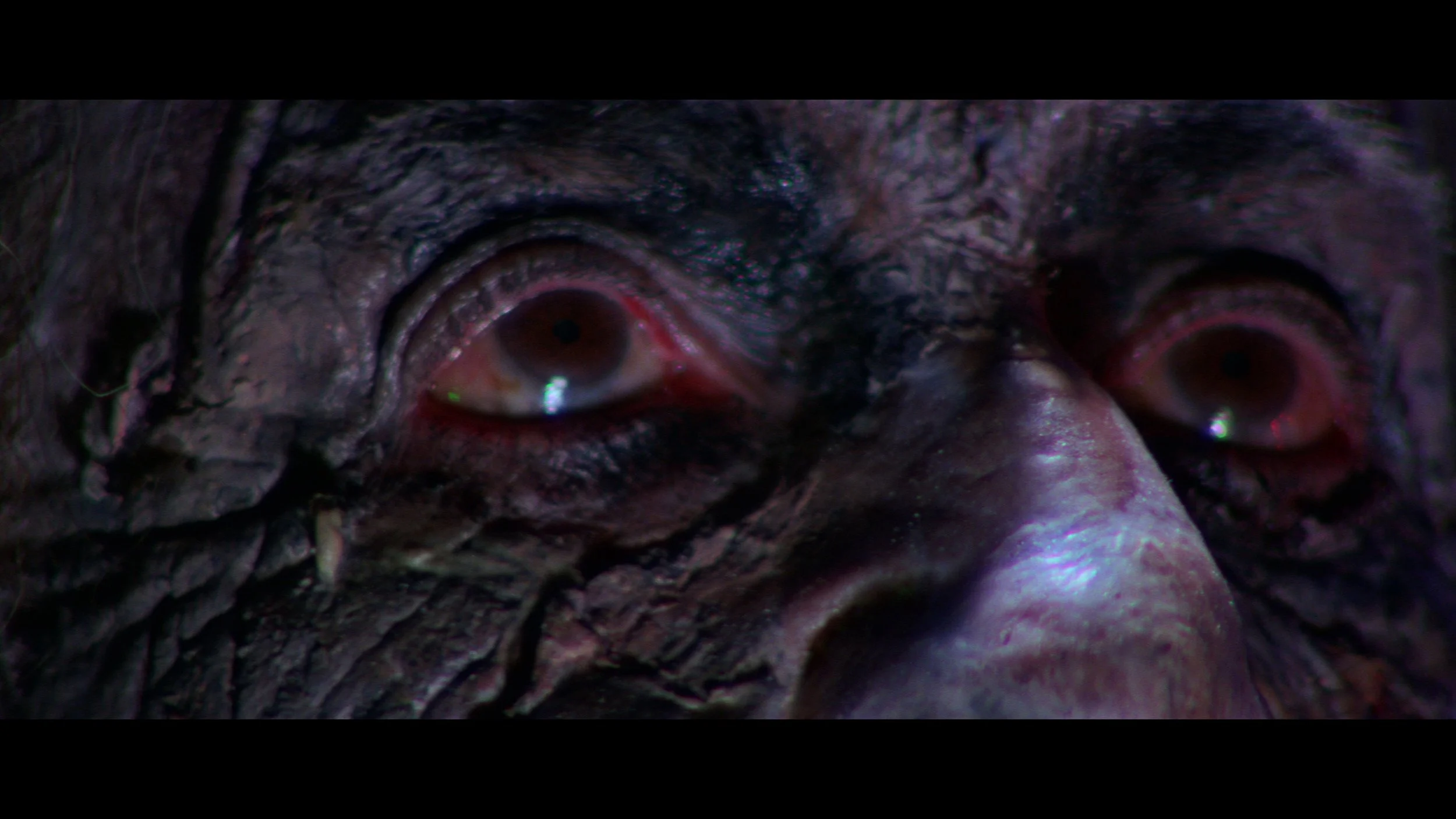 Suspiria R6_1.90.1.jpg
