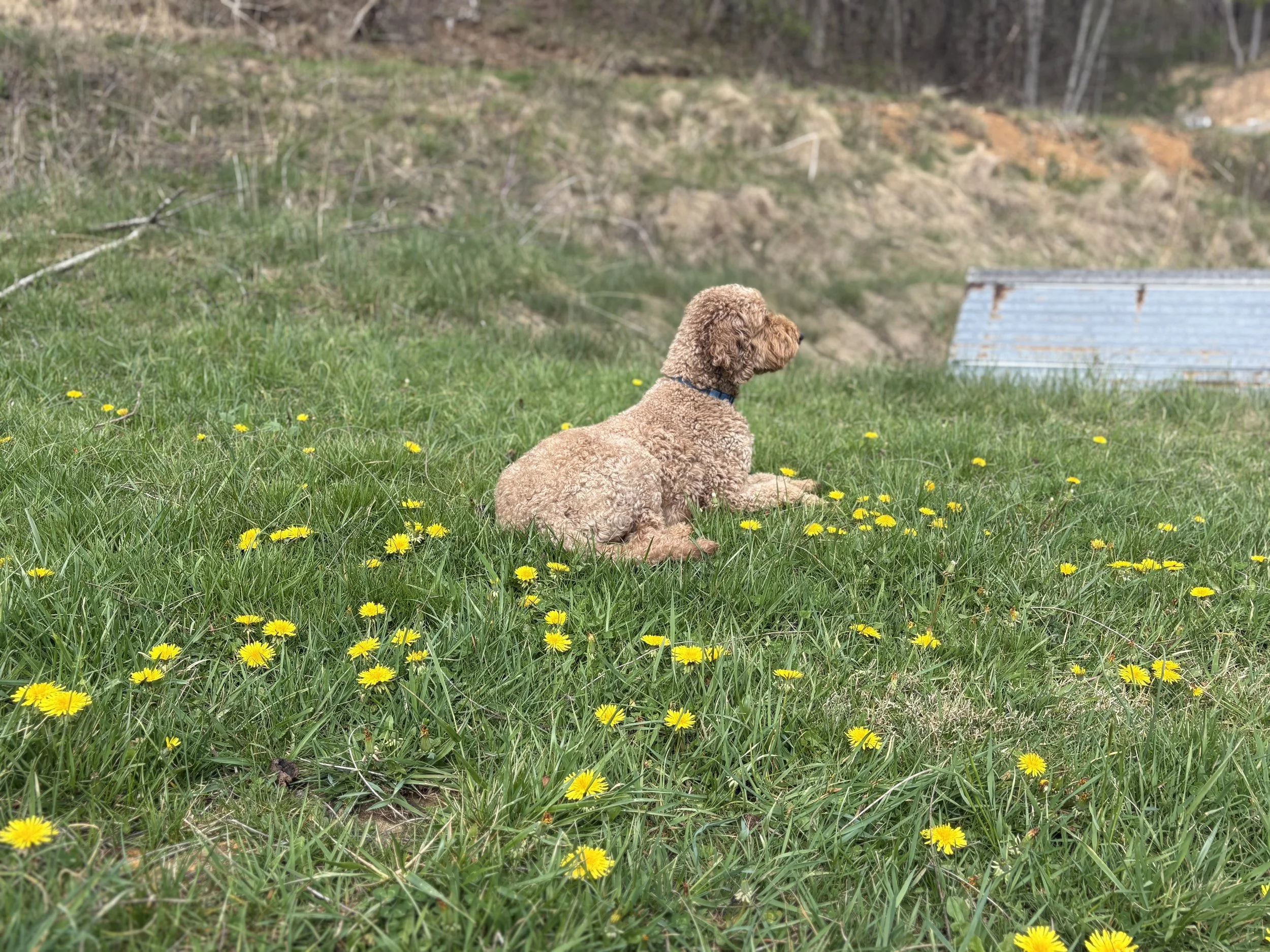 Remote Traveling: Staying Connected to a Place You Love