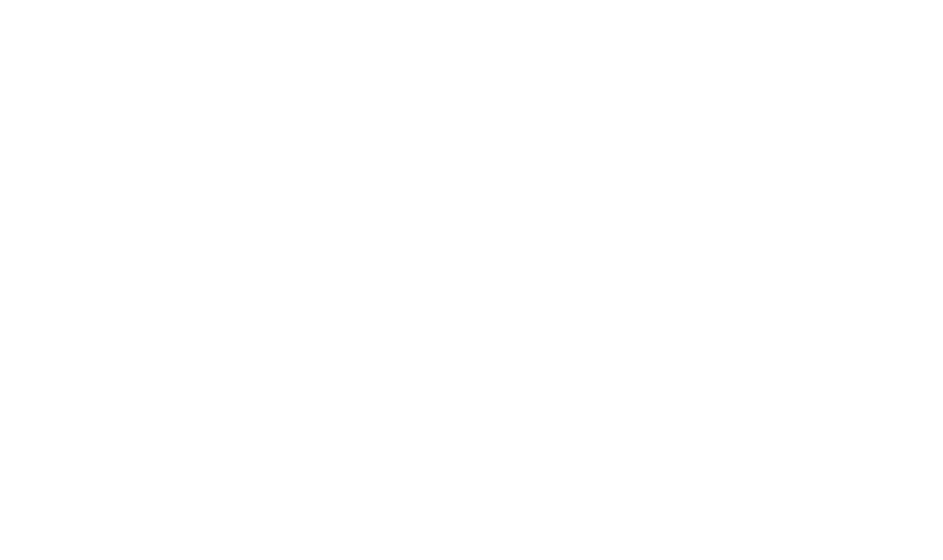 Madison Masloff&#39;s Portfolio