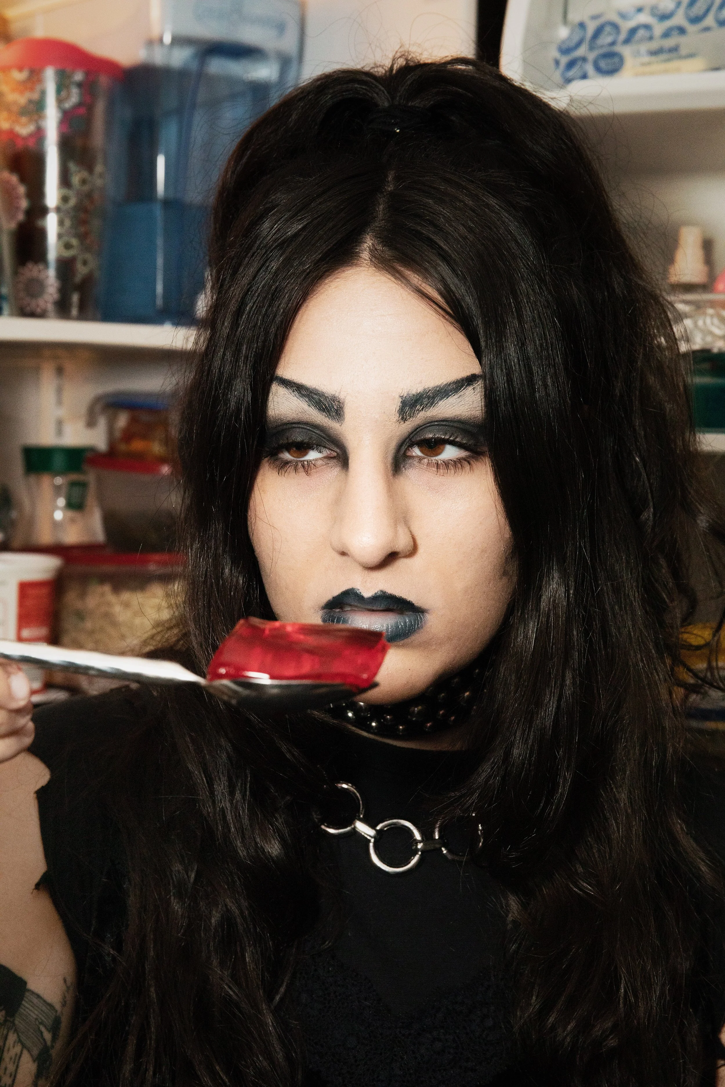 Polly In the Fridge, April 2020