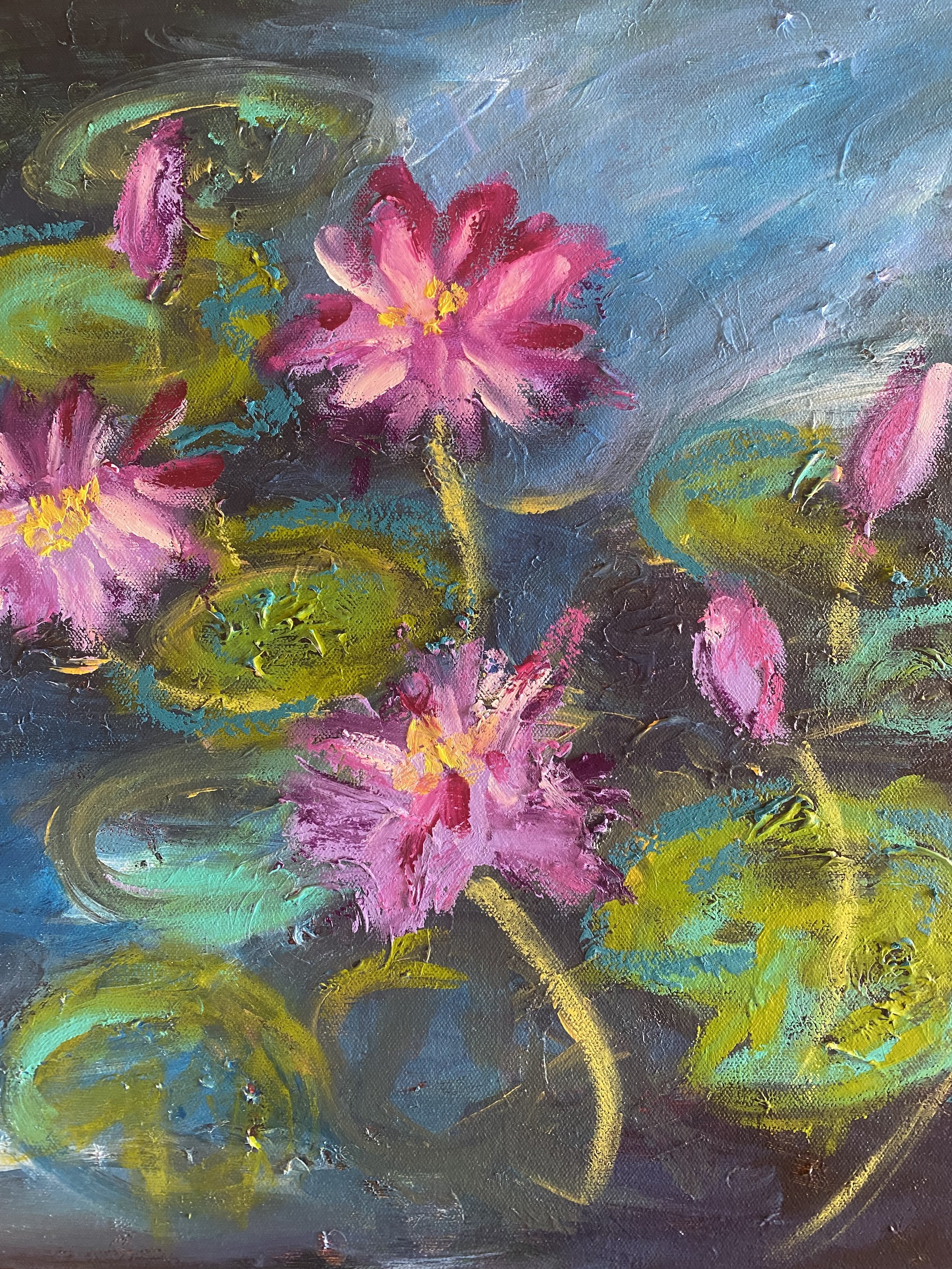 Little Water Lilies