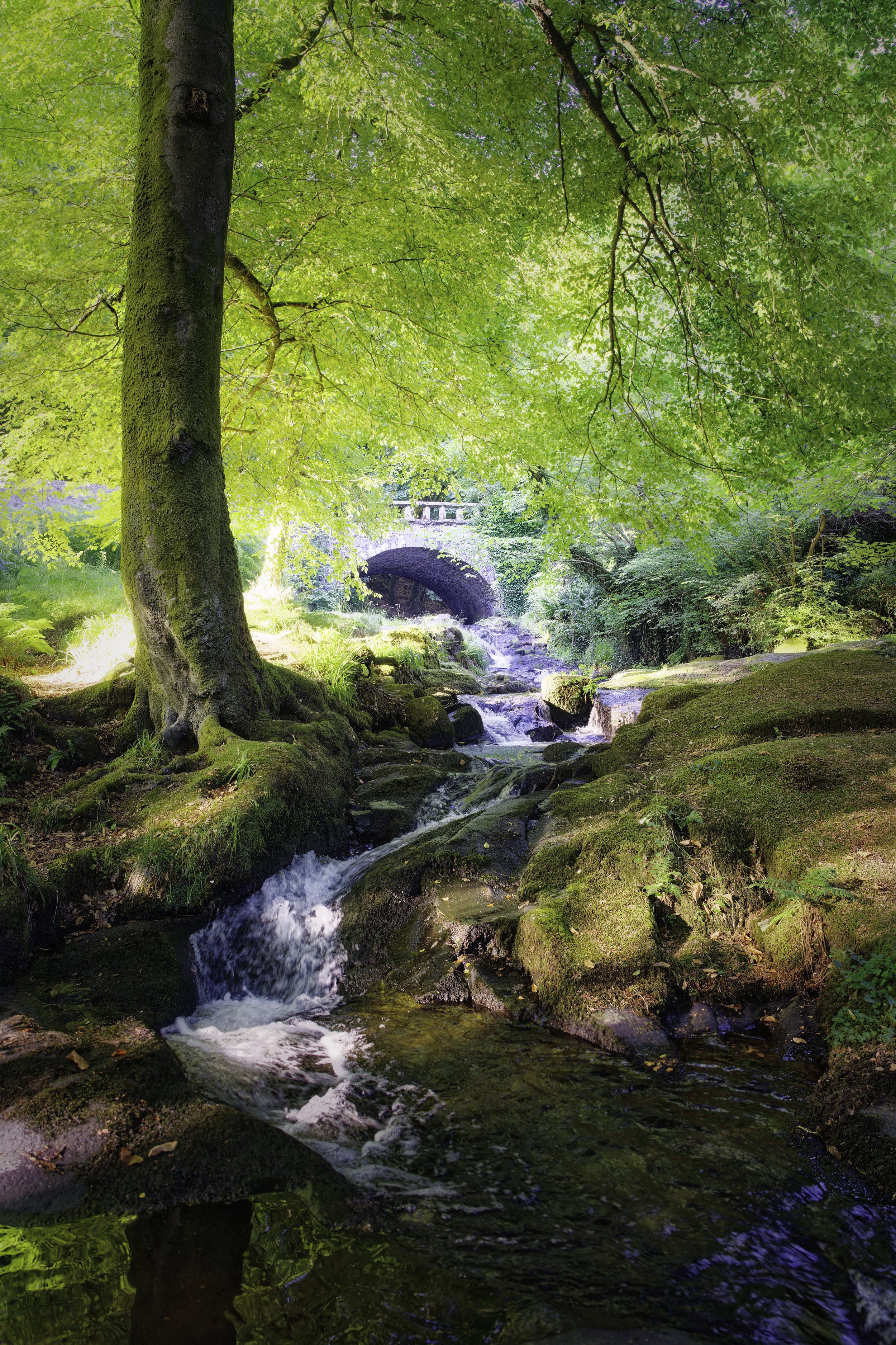 Cloghleagh Bridge County Wicklow.jpg