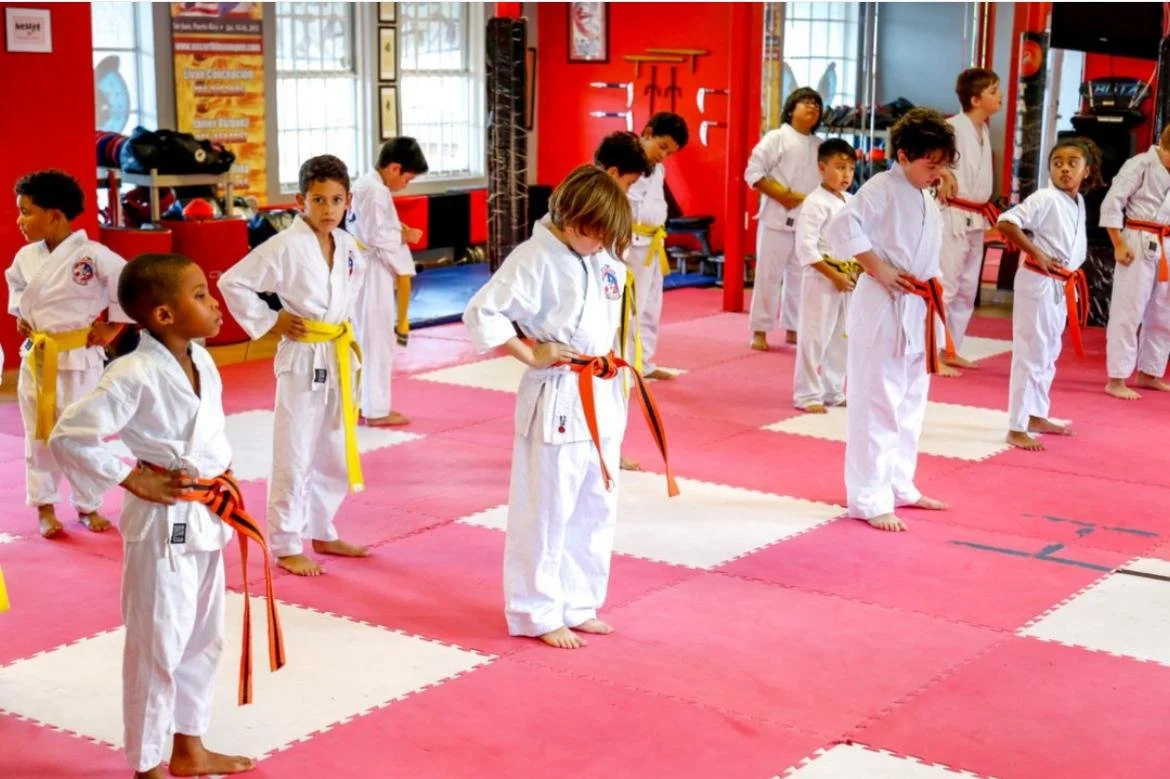 Children practicing martial arts in a dojo, wearing white uniforms with colored belts, on a padded floor.