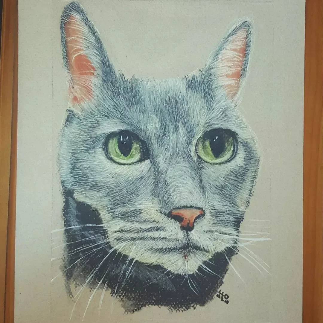 #pastelart #feline