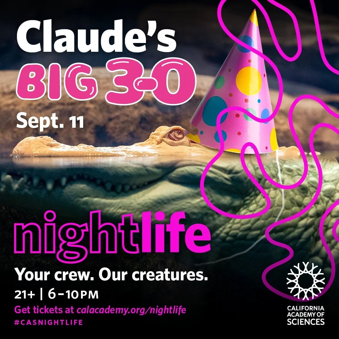 PPP @ NightLife - Claudes 30th Birthday!!