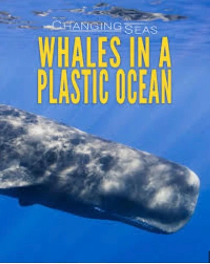 Peninsula Precious Plastics International Ocean Movie and Speaker night with Raffle
