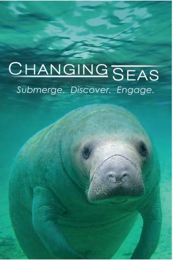 Peninsula Precious Plastics International Ocean Movie and Speaker night
