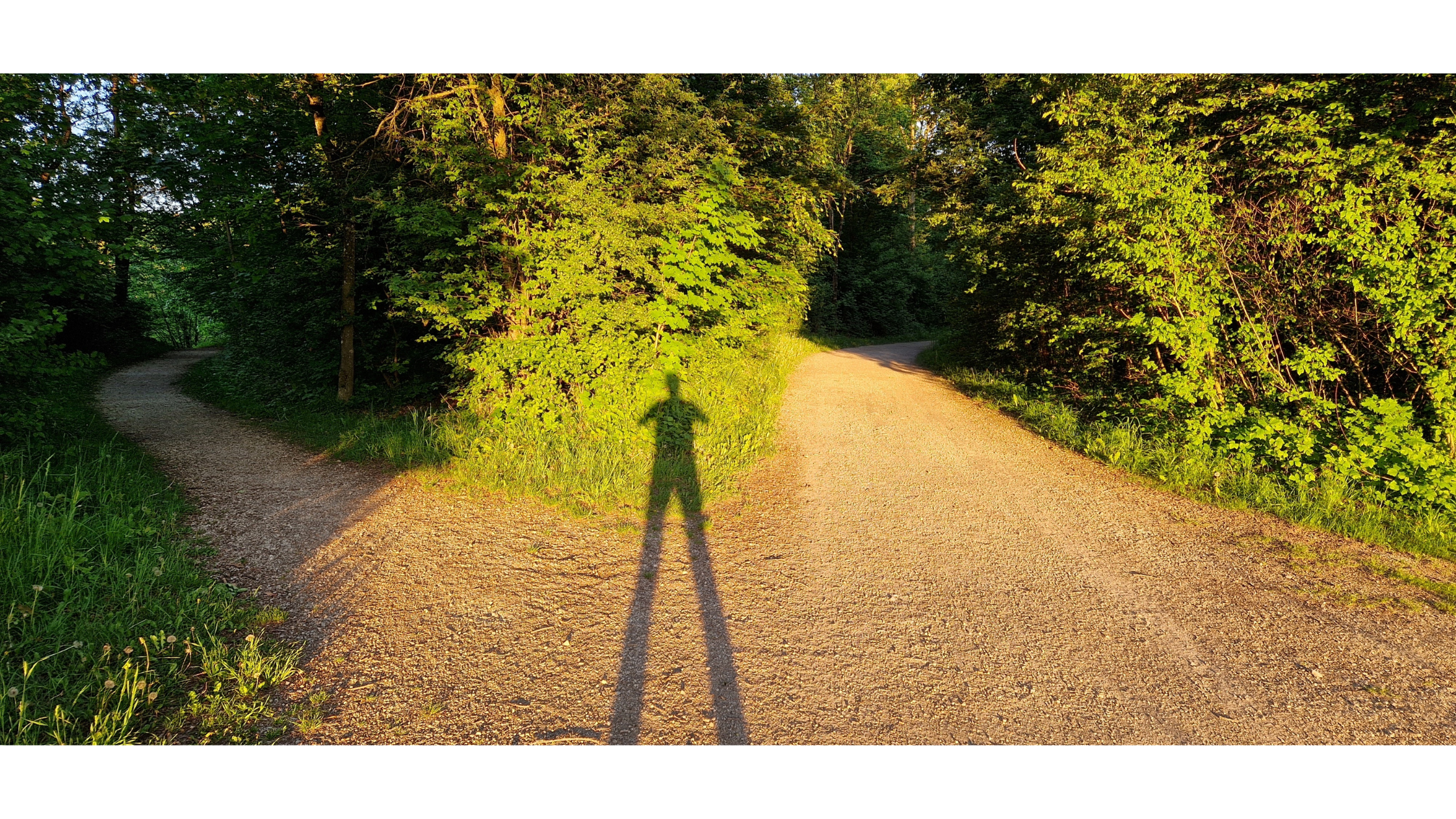 We Can’t Teach Consent While Training Obedience