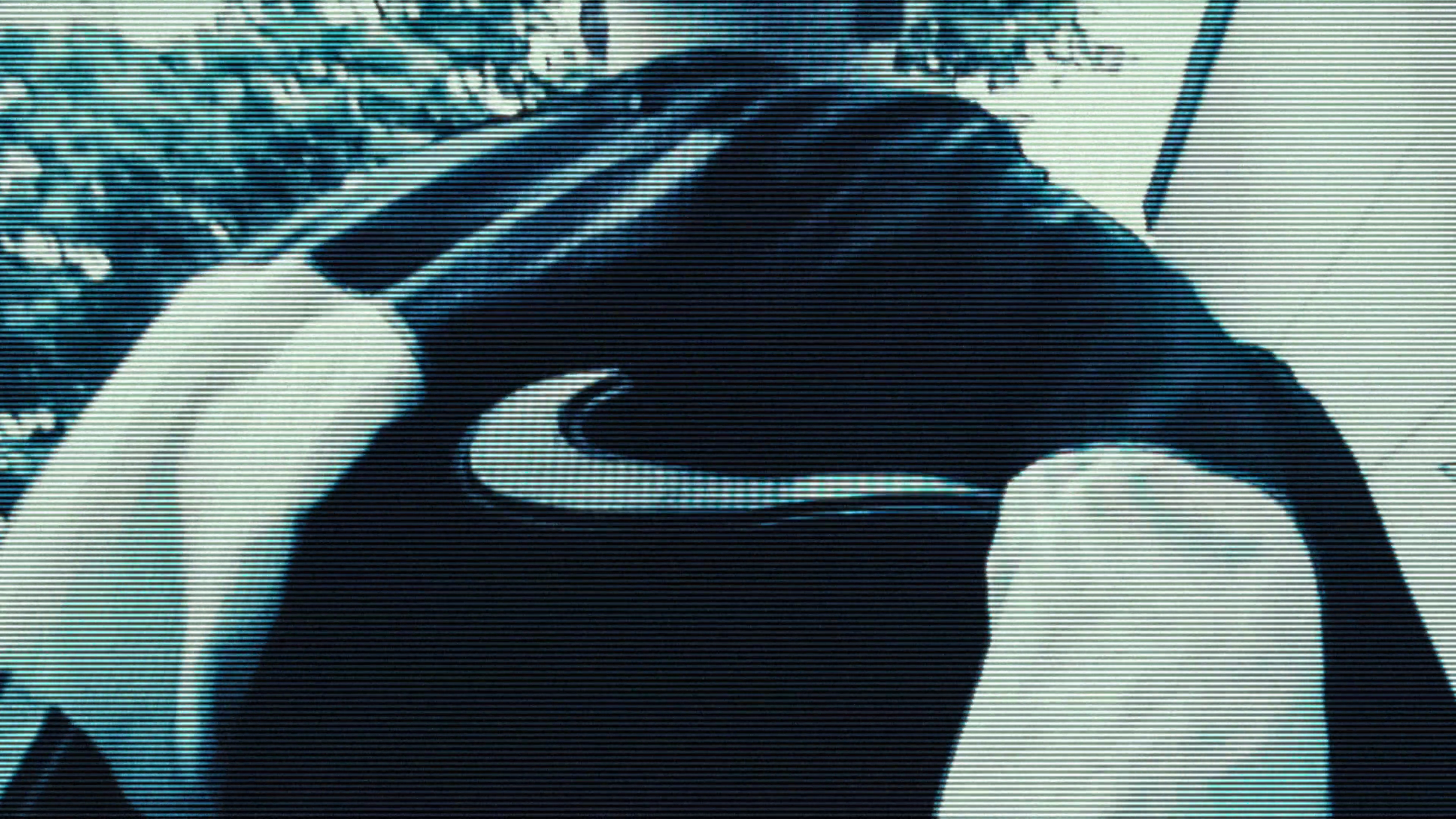 vlcsnap-2025-02-11-15h43m50s799.png